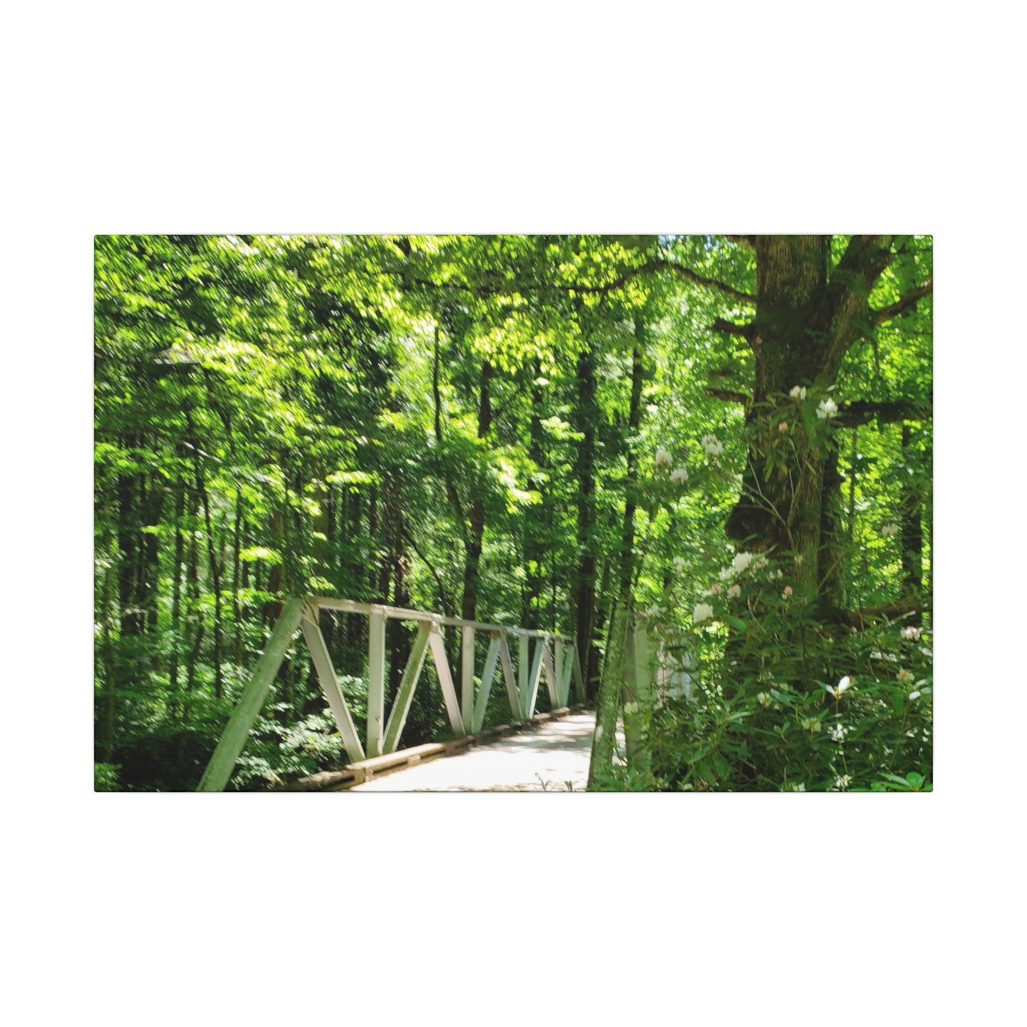 Forest Bridge Canvas Wall Art — Green Woodland Trail Photography