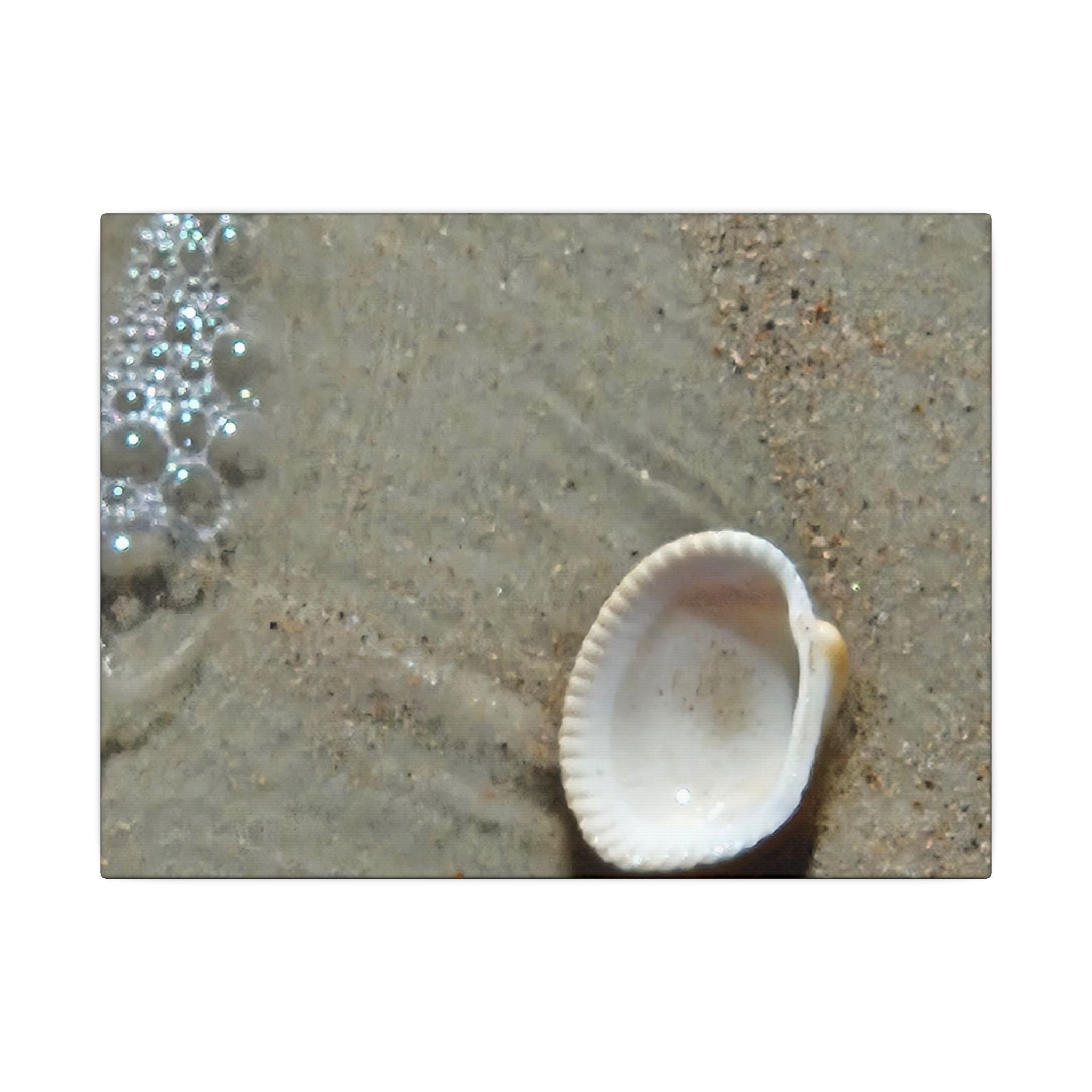 Seashell on Sand Matte Canvas Wall Art — Coastal Beach Photography Print