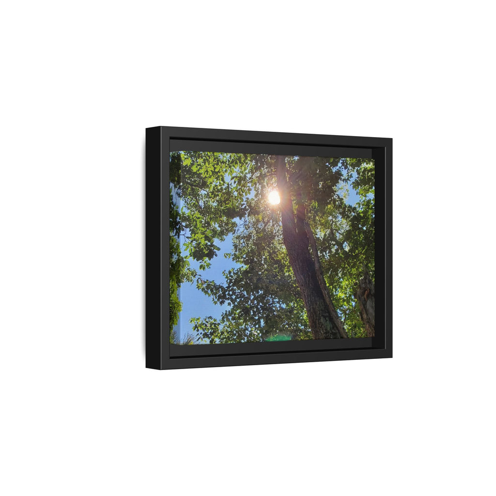 Sunlit Tree Canopy Matte Framed Canvas