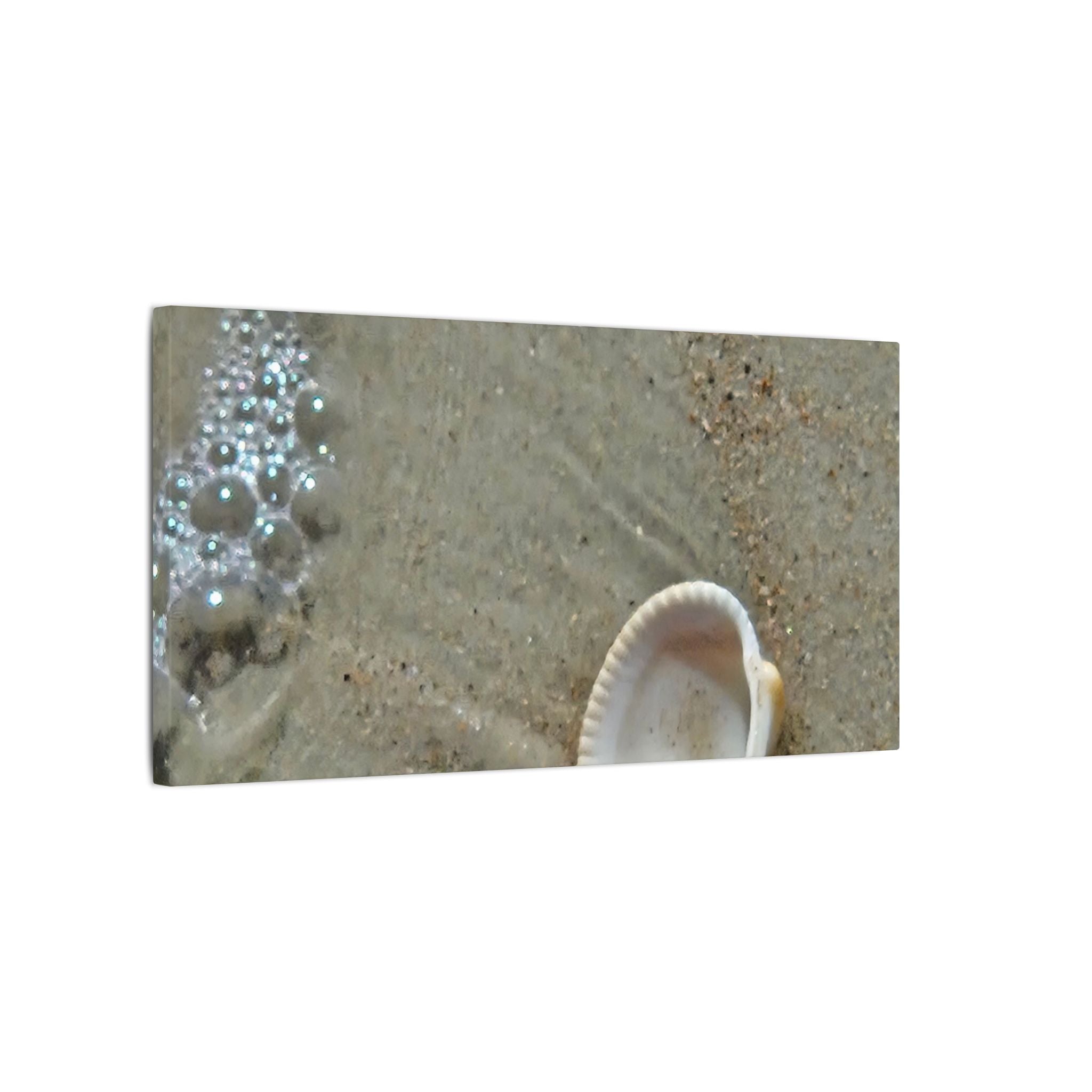 Seashell on Sand Matte Canvas Wall Art — Coastal Beach Photography Print