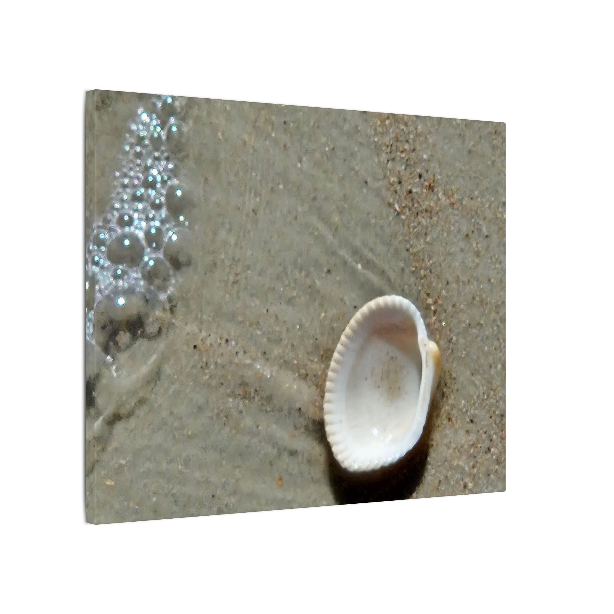 Seashell on Sand Matte Canvas Wall Art — Coastal Beach Photography Print