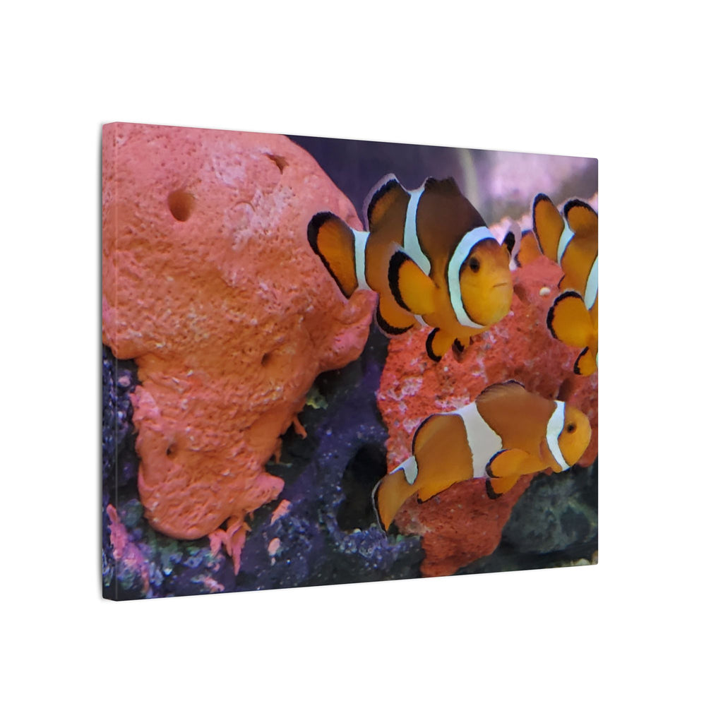 Clownfish Reef Matte Canvas Wall Art — Vibrant Ocean Photography Print