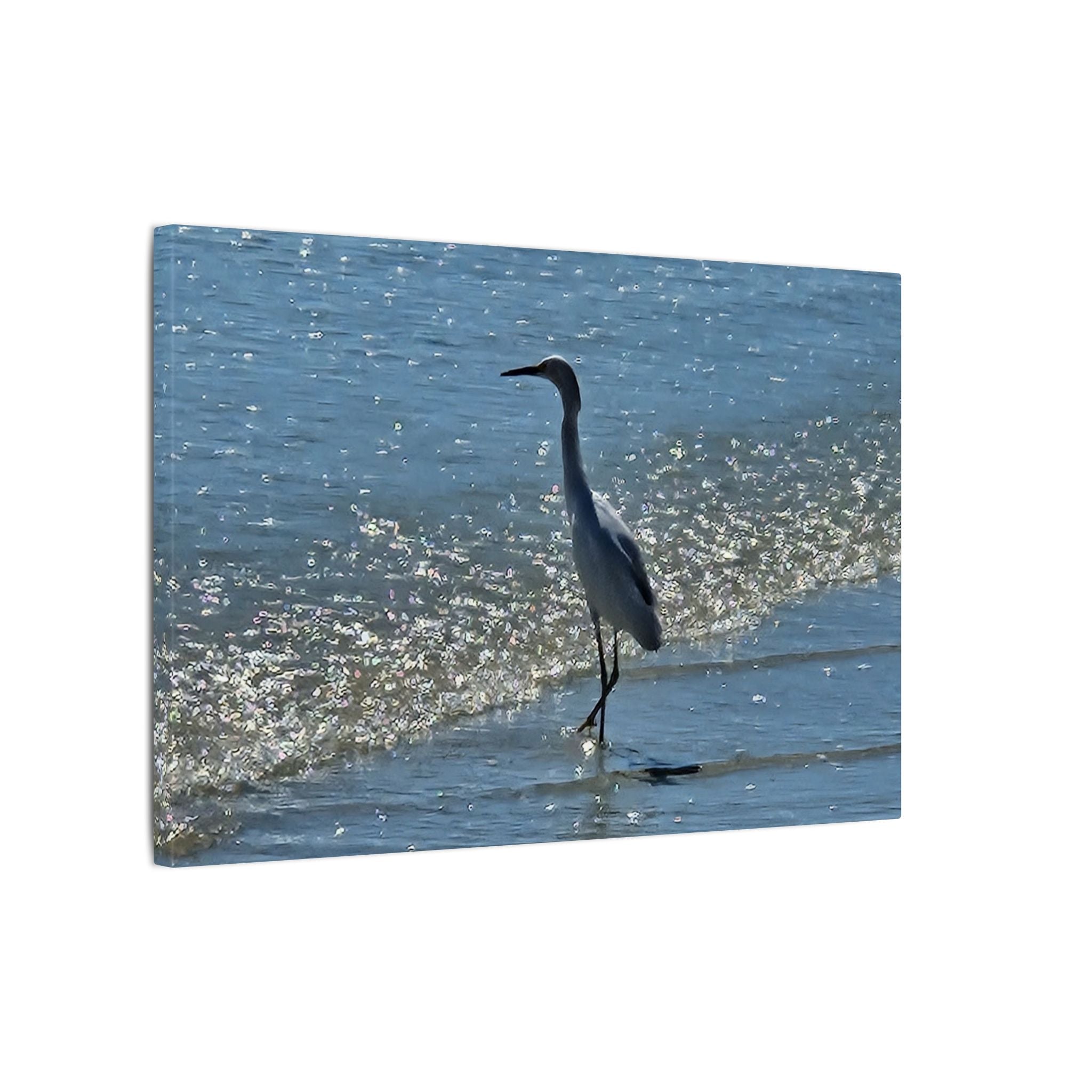 Egret on Shore Matte Stretched Canvas — Coastal Bird Wall Art