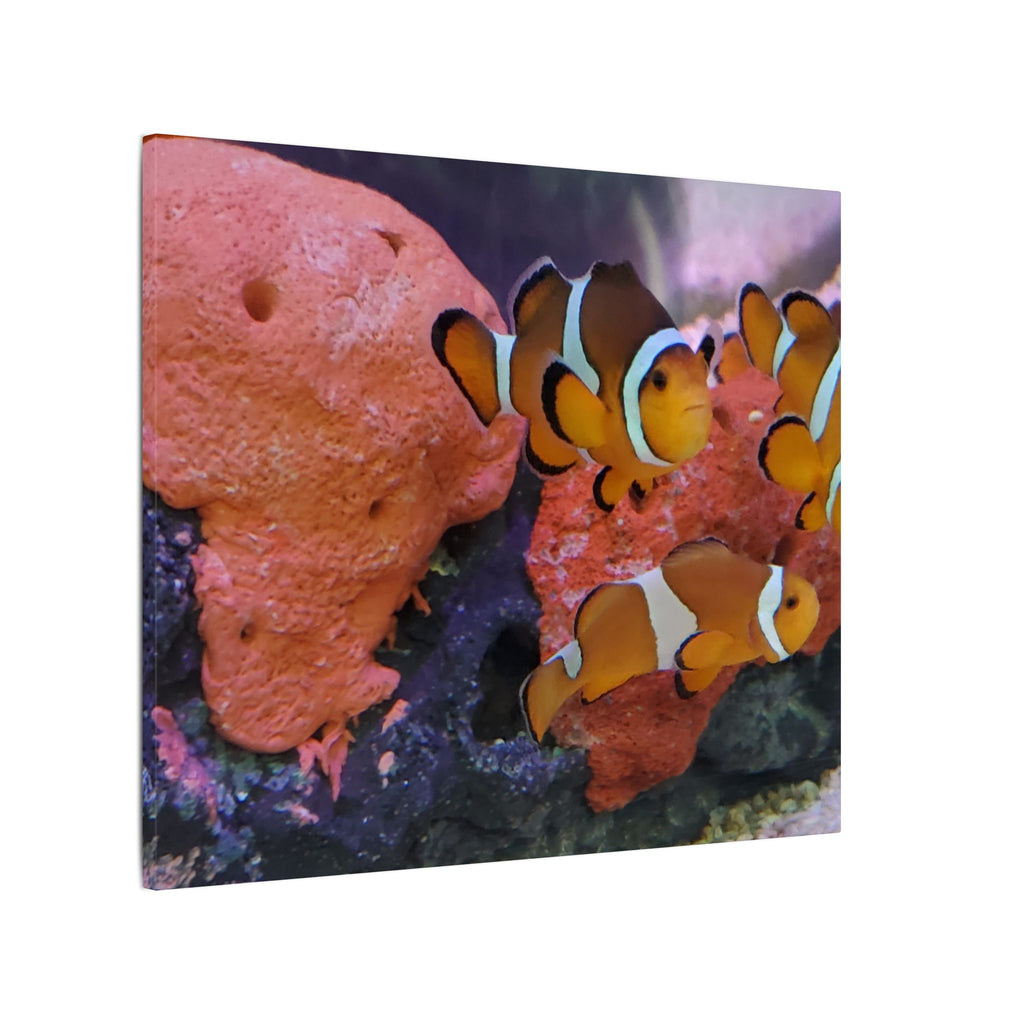Clownfish Reef Matte Canvas Wall Art — Vibrant Ocean Photography Print