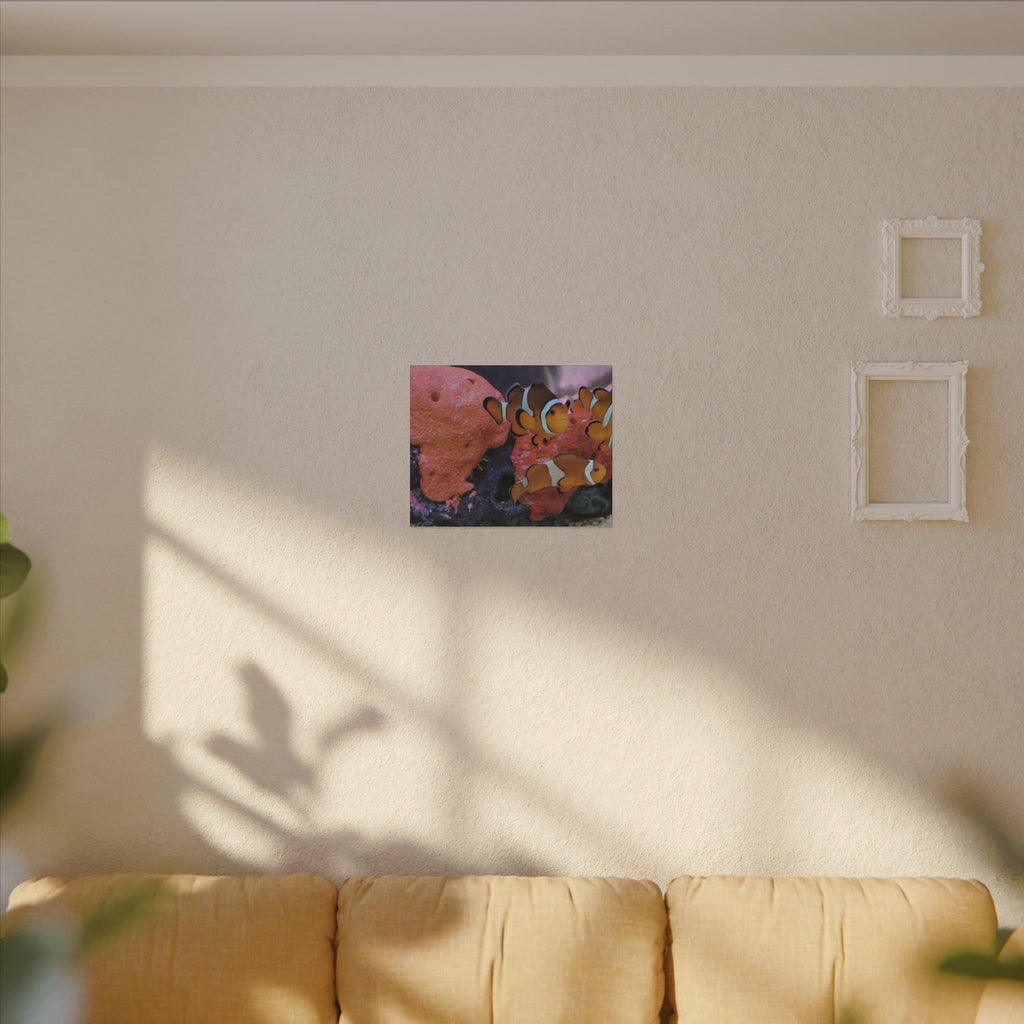 Clownfish Reef Matte Canvas Wall Art — Vibrant Ocean Photography Print