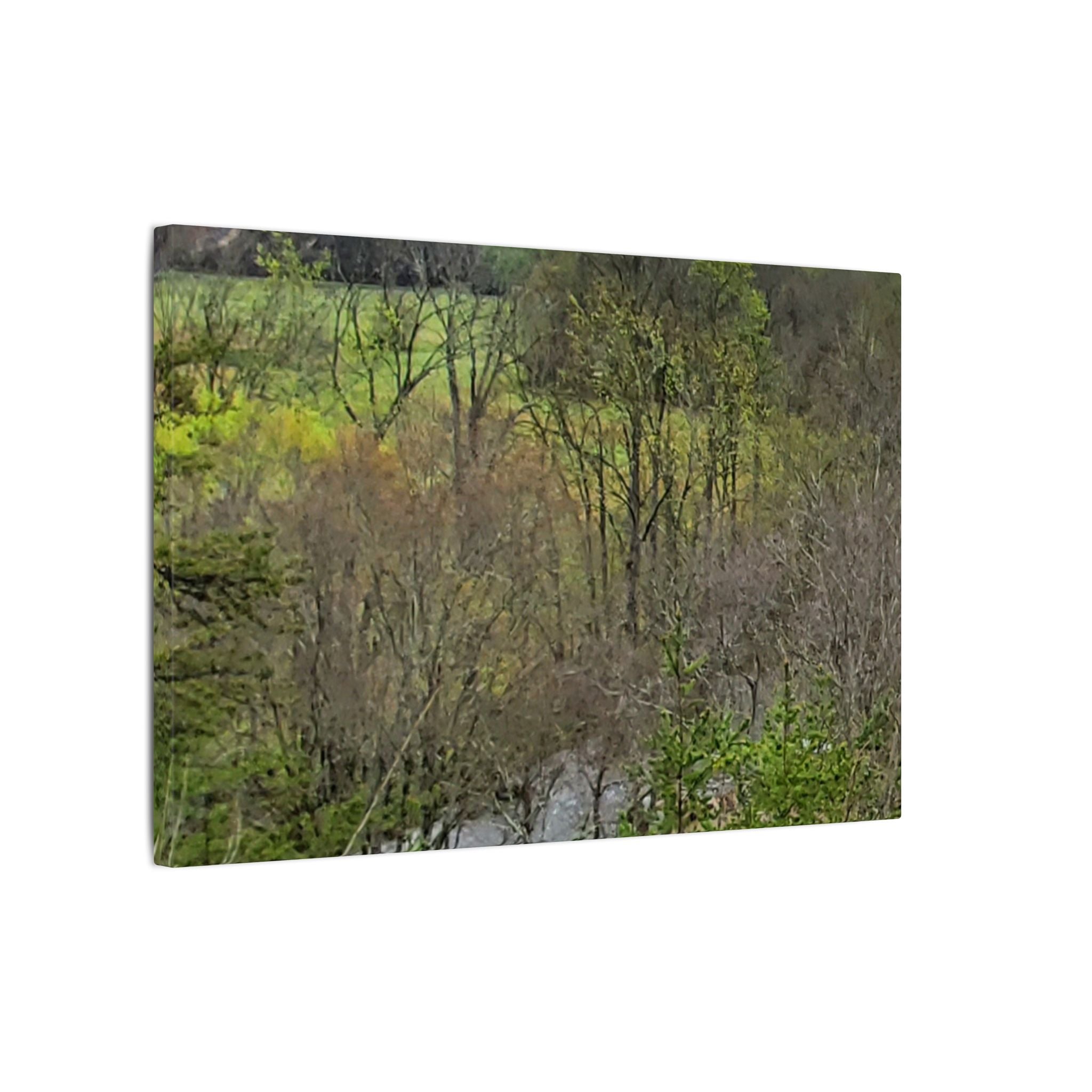 Matte Stretched Canvas Wall Art - Serene Green Woodland Landscape