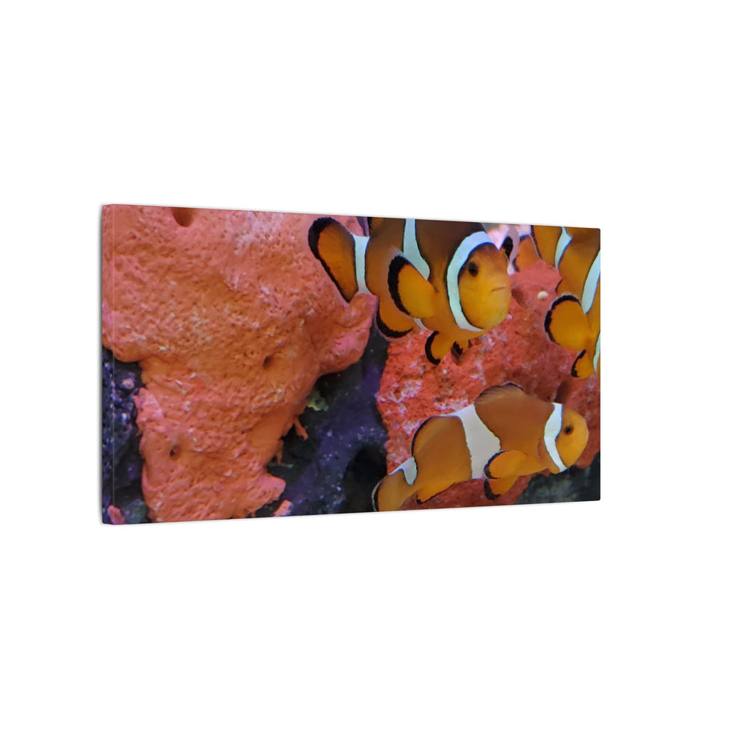 Clownfish Reef Matte Canvas Wall Art — Vibrant Ocean Photography Print