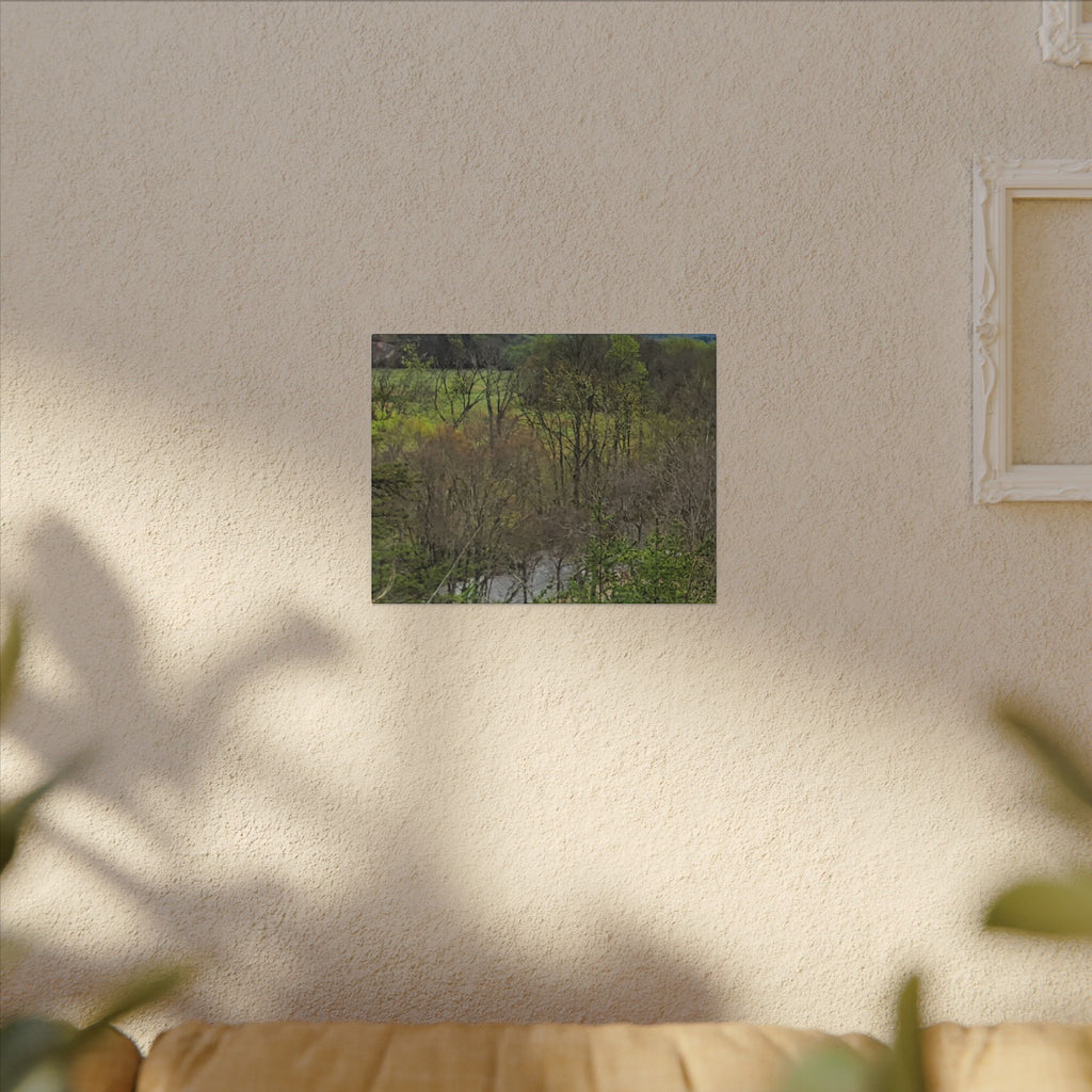 Matte Stretched Canvas Wall Art - Serene Green Woodland Landscape