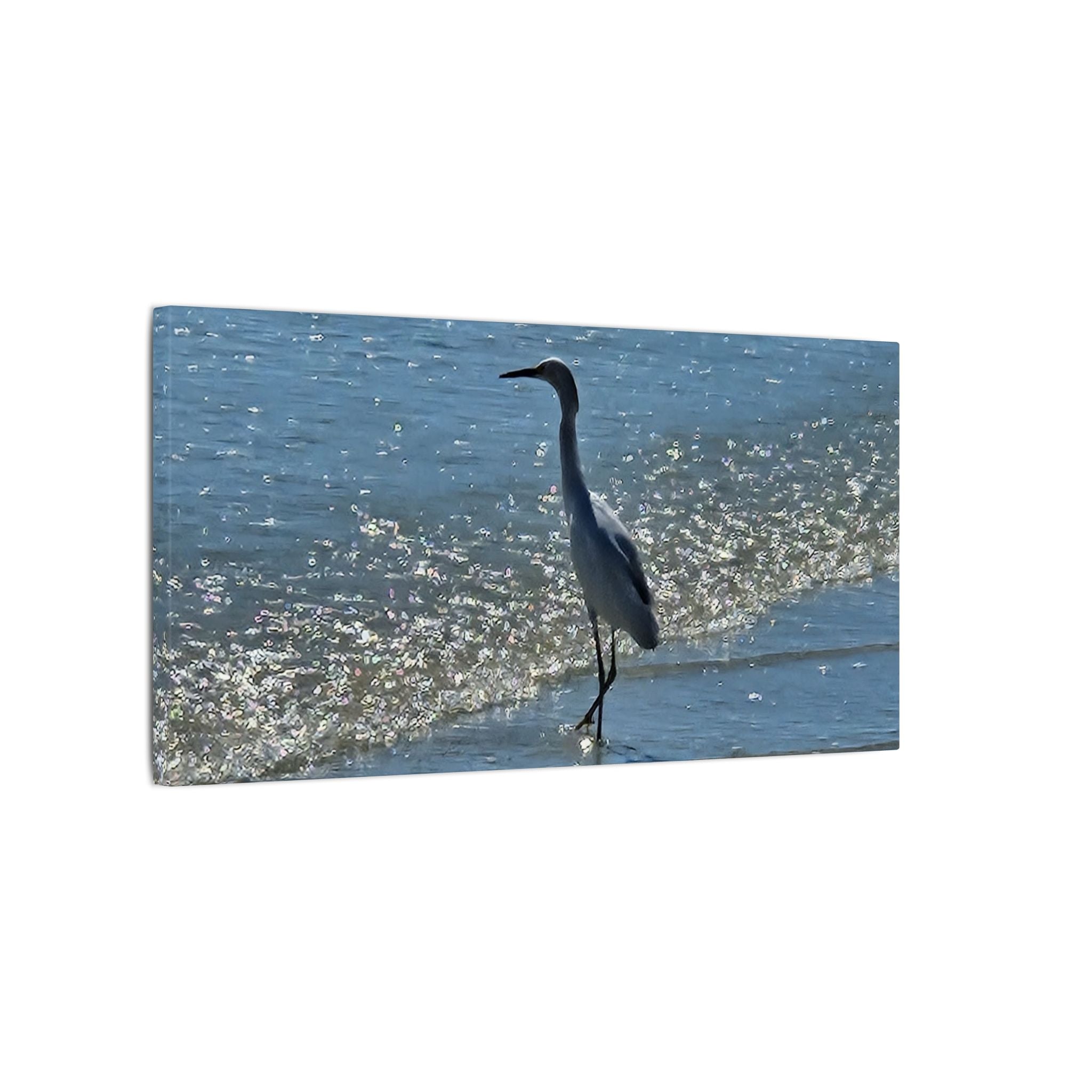 Egret on Shore Matte Stretched Canvas — Coastal Bird Wall Art