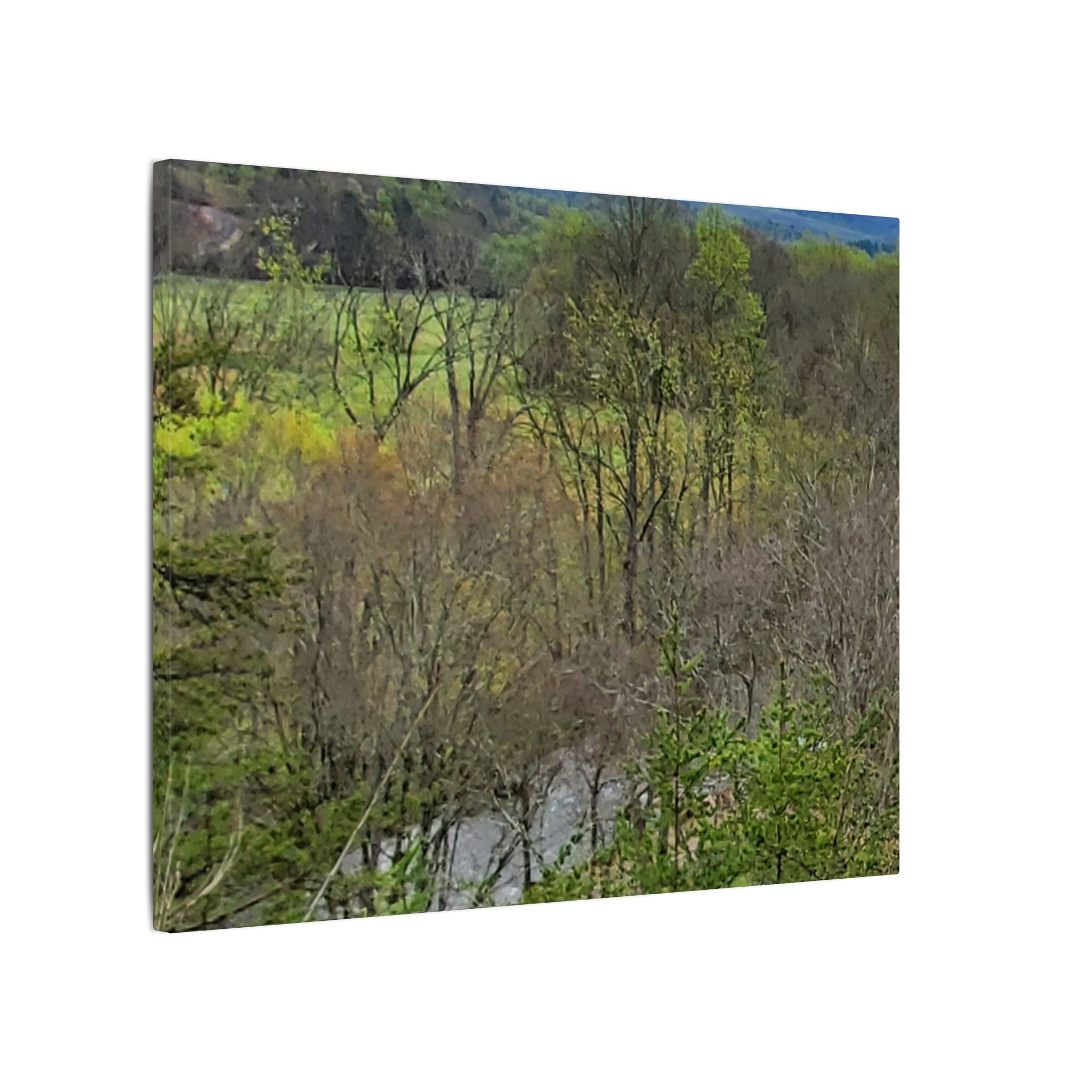 Matte Stretched Canvas Wall Art - Serene Green Woodland Landscape