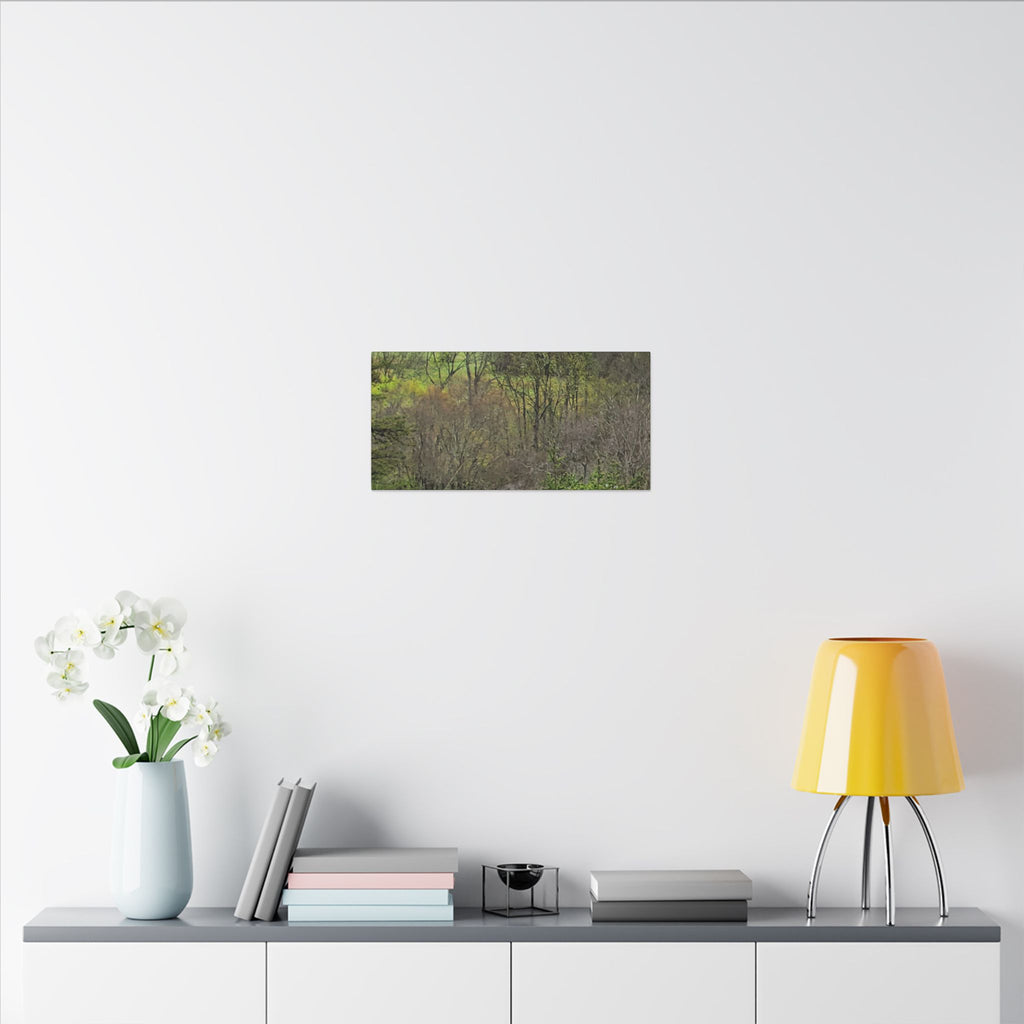 Matte Stretched Canvas Wall Art - Serene Green Woodland Landscape