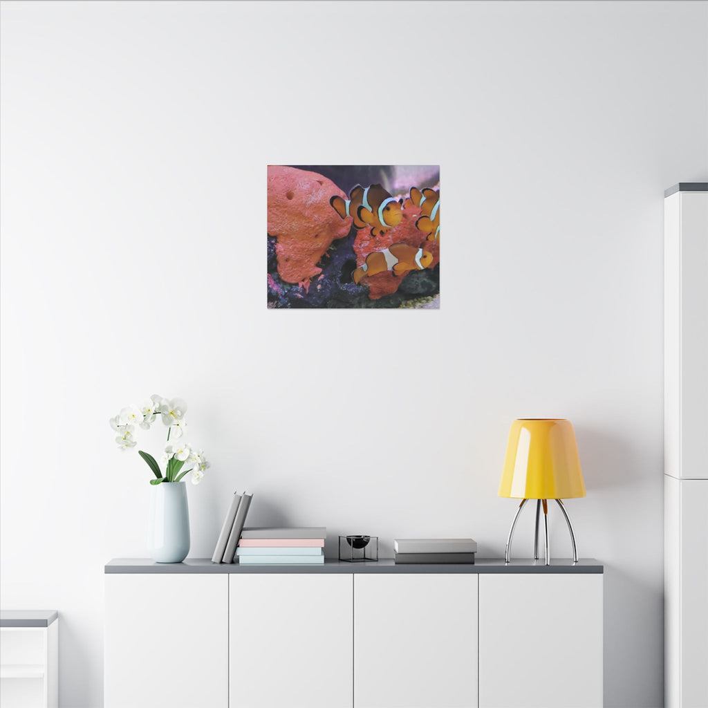 Clownfish Reef Matte Canvas Wall Art — Vibrant Ocean Photography Print