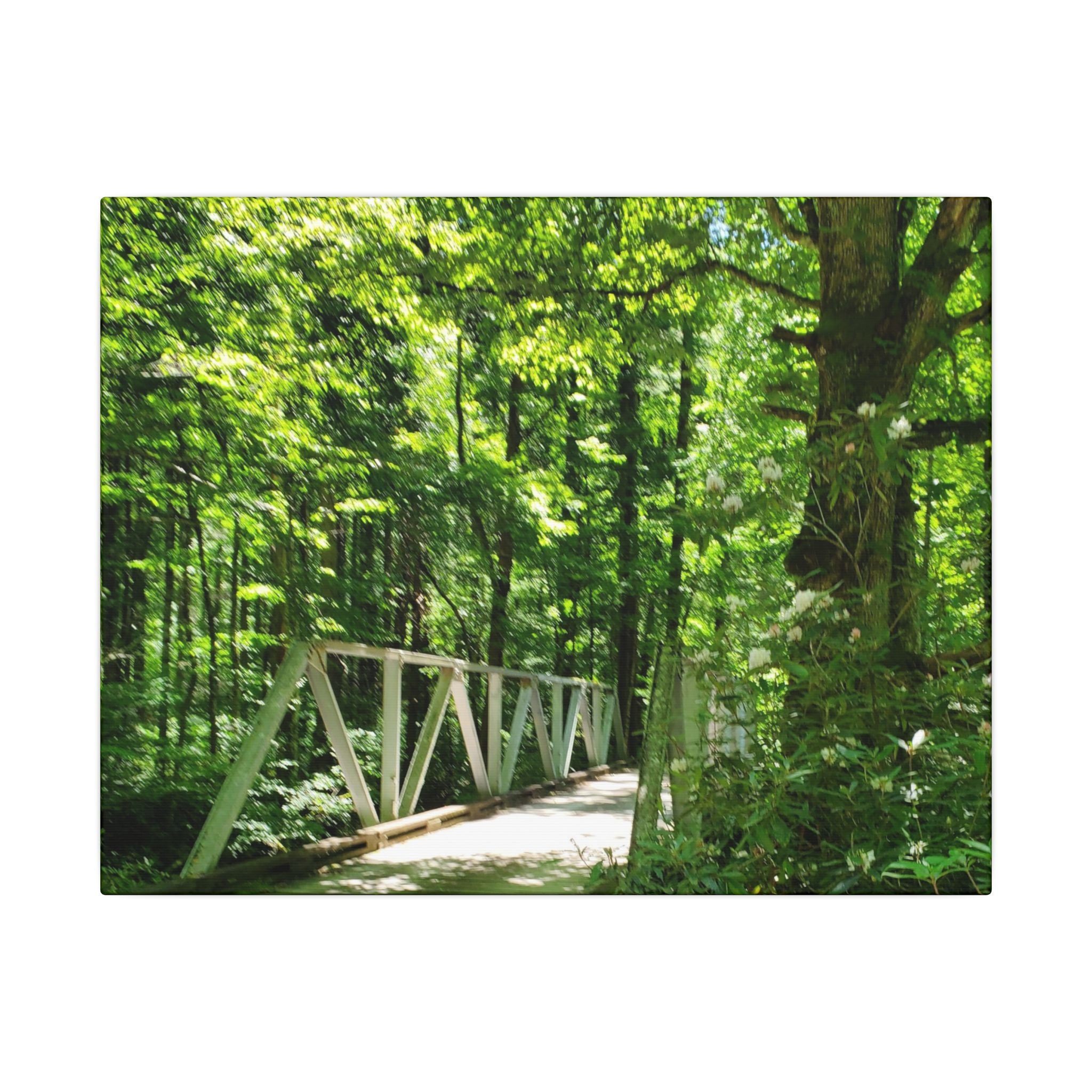 Forest Bridge Canvas Wall Art — Green Woodland Trail Photography