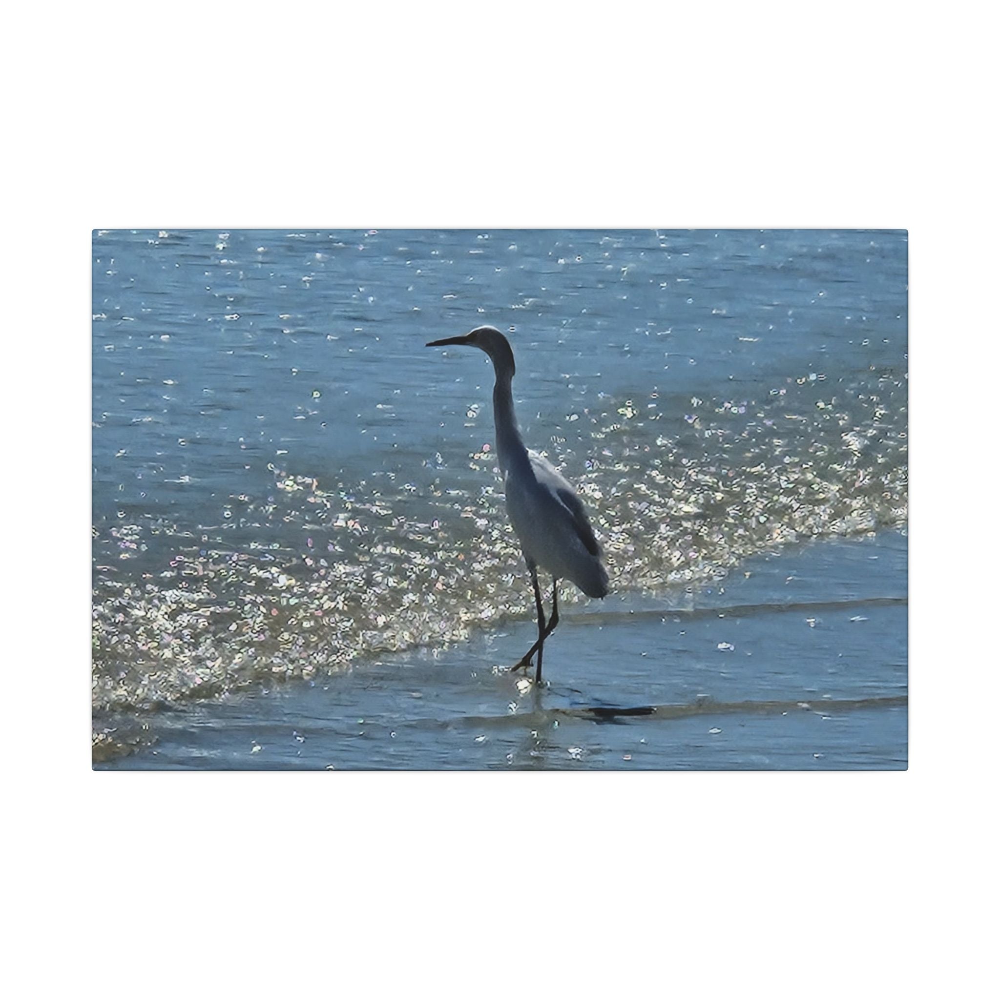 Egret on Shore Matte Stretched Canvas — Coastal Bird Wall Art