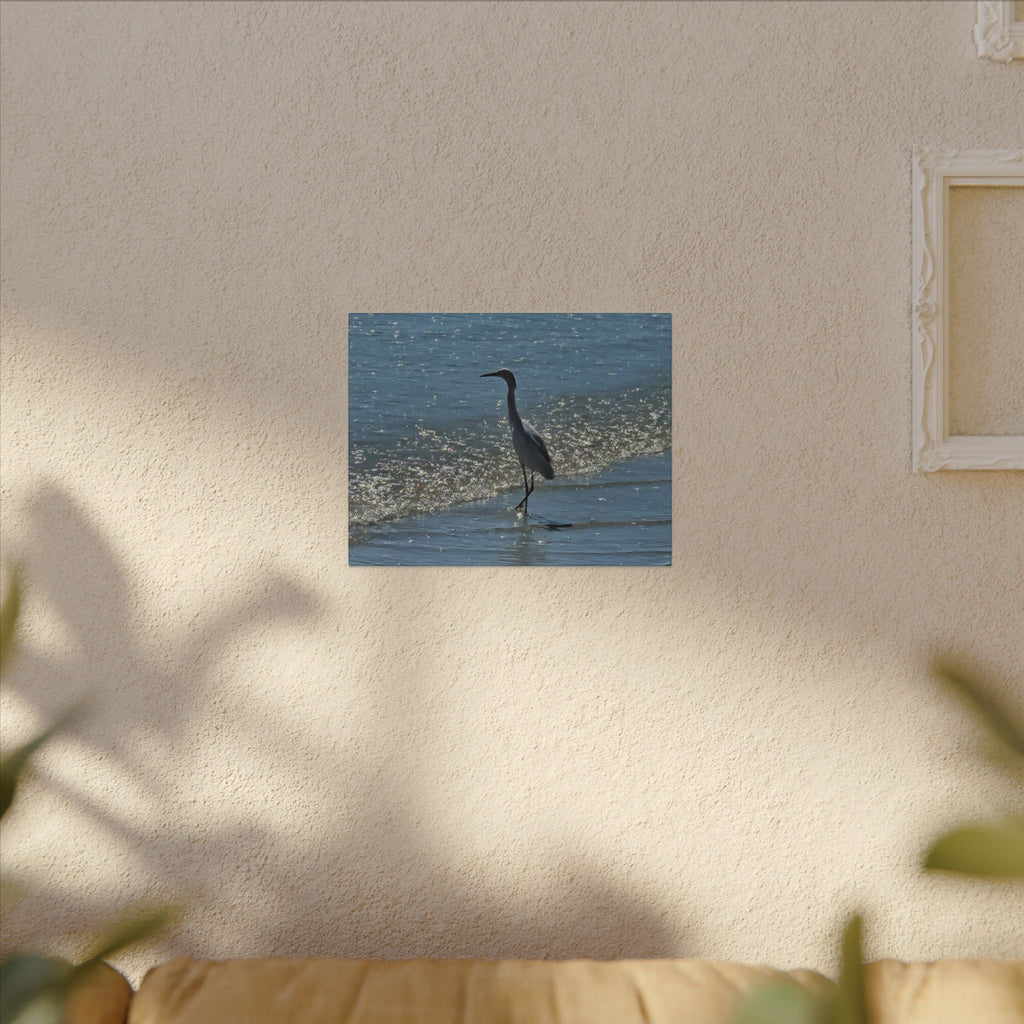 Egret on Shore Matte Stretched Canvas — Coastal Bird Wall Art