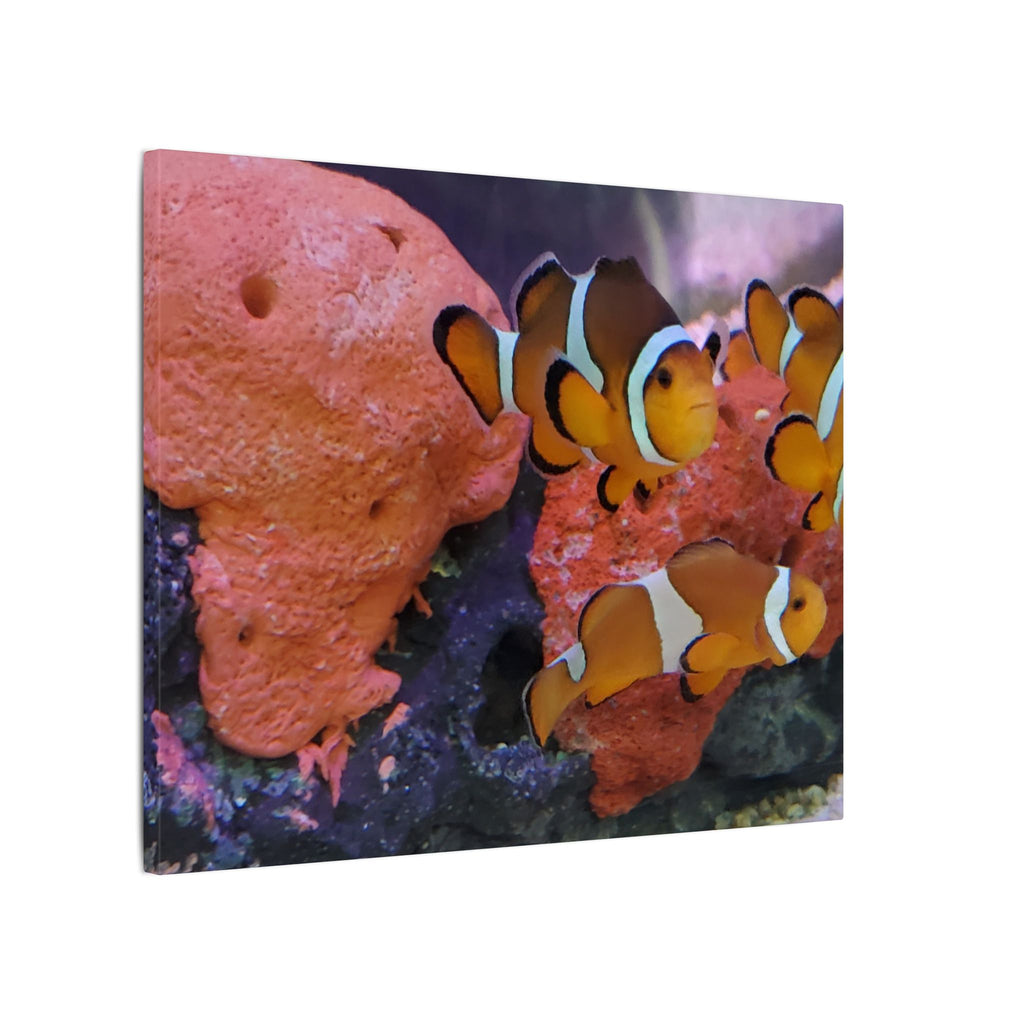 Clownfish Reef Matte Canvas Wall Art — Vibrant Ocean Photography Print