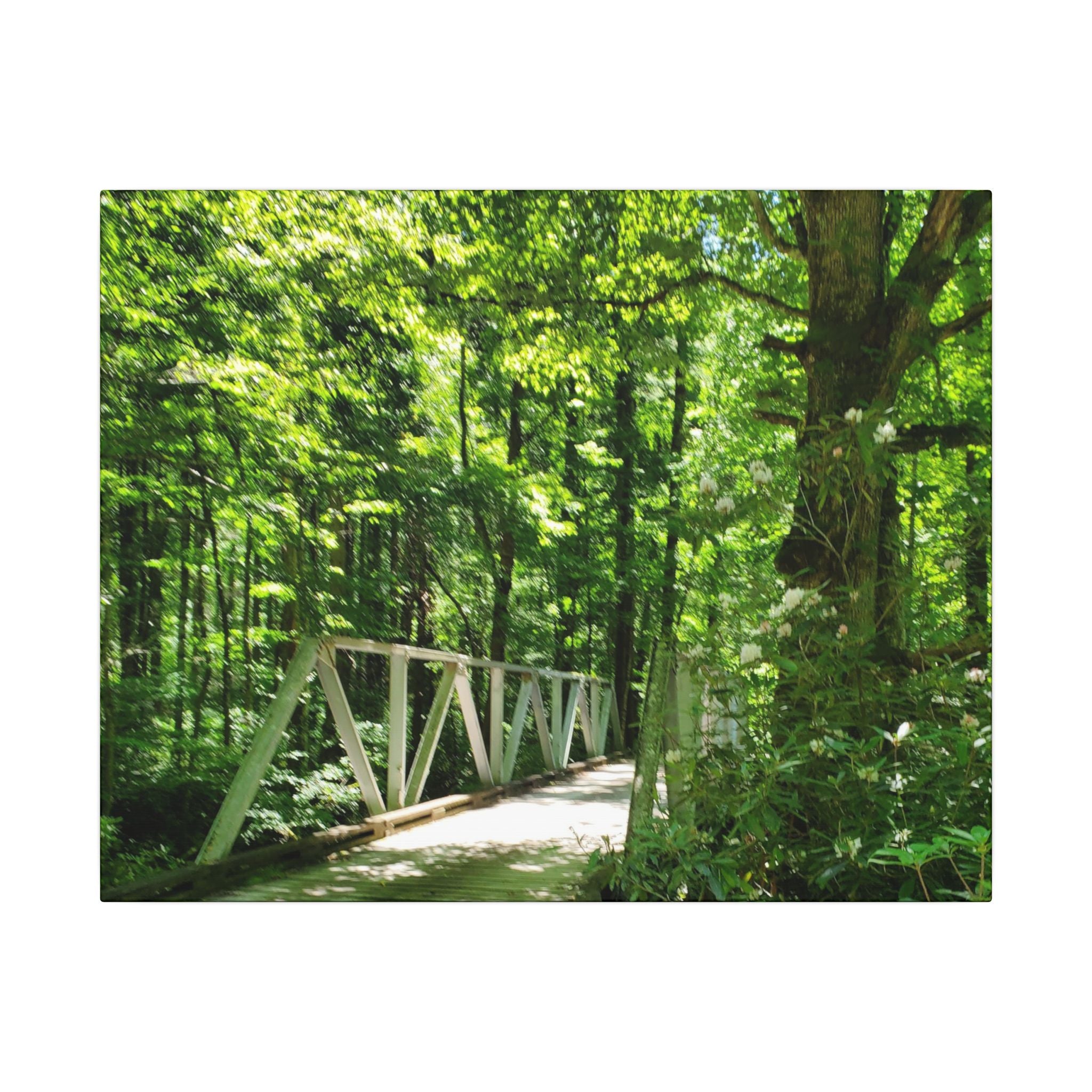 Forest Bridge Canvas Wall Art — Green Woodland Trail Photography