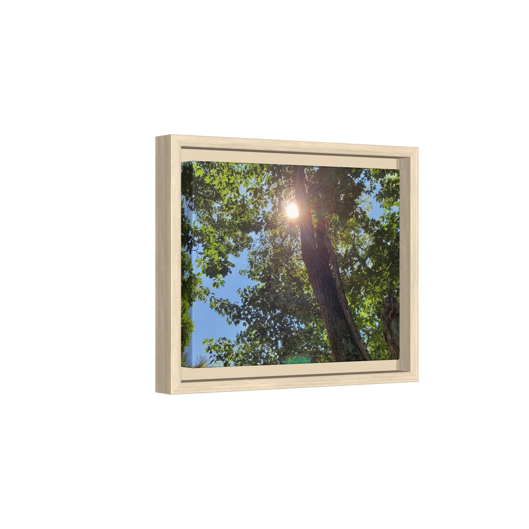 Sunlit Tree Canopy Matte Framed Canvas