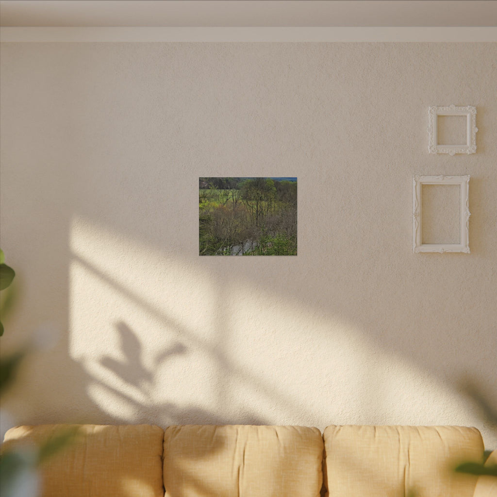 Matte Stretched Canvas Wall Art - Serene Green Woodland Landscape