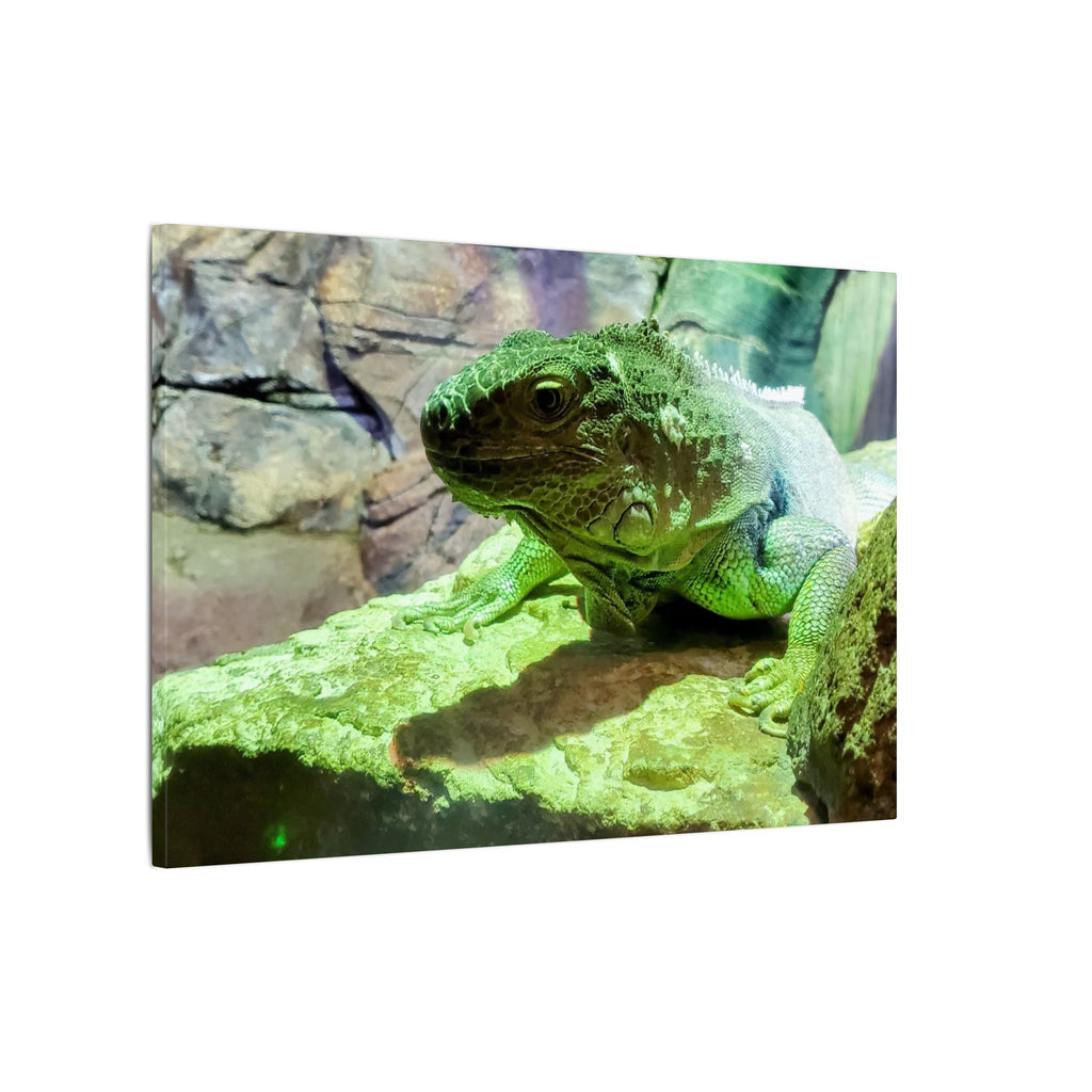 Green Iguana Reptile Wall Art Canvas – Wildlife Photo Matte Stretched Print
