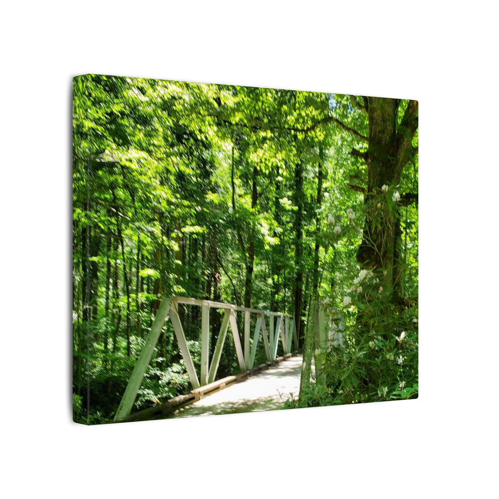 Forest Bridge Canvas Wall Art — Green Woodland Trail Photography