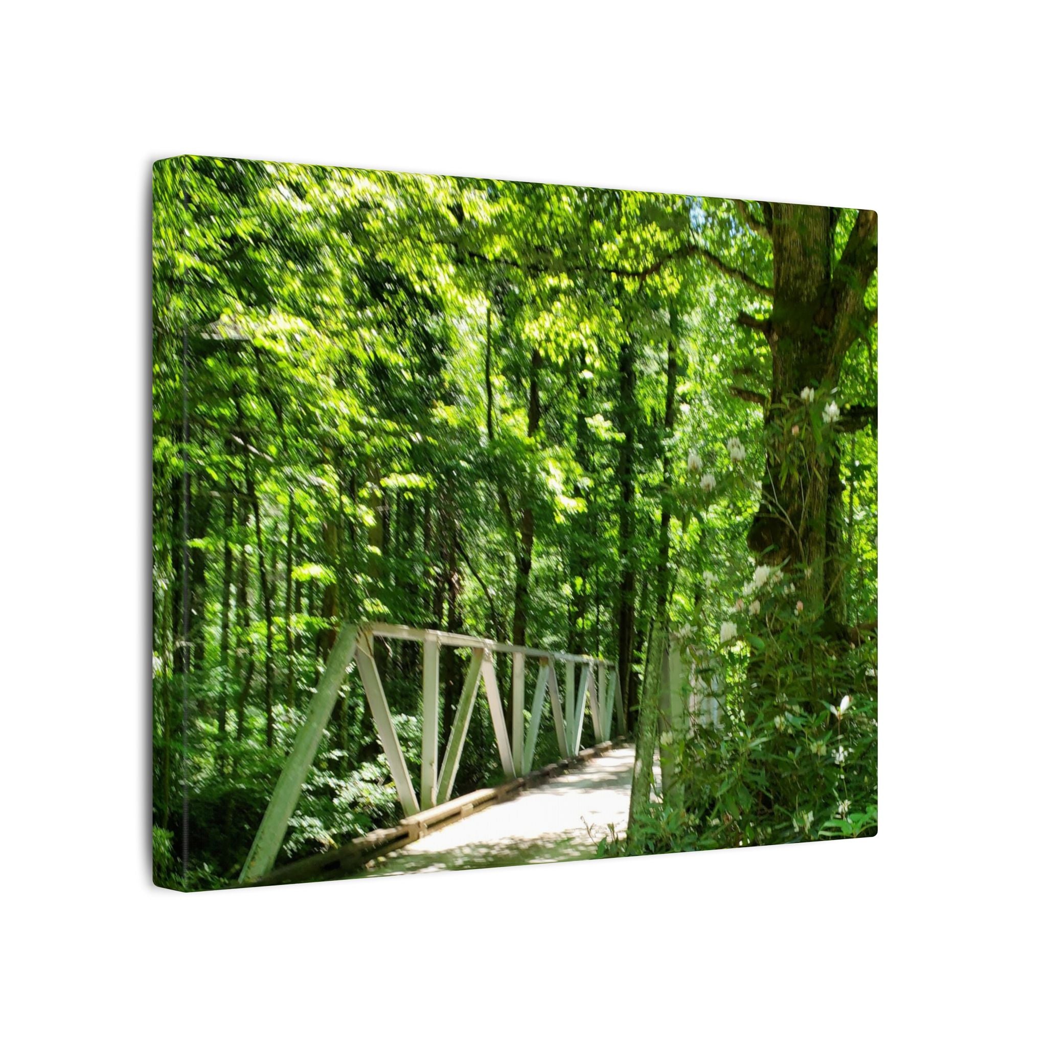 Forest Bridge Canvas Wall Art — Green Woodland Trail Photography