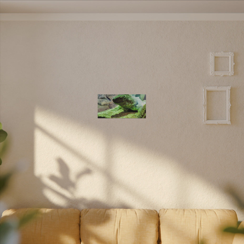 Green Iguana Reptile Wall Art Canvas – Wildlife Photo Matte Stretched Print
