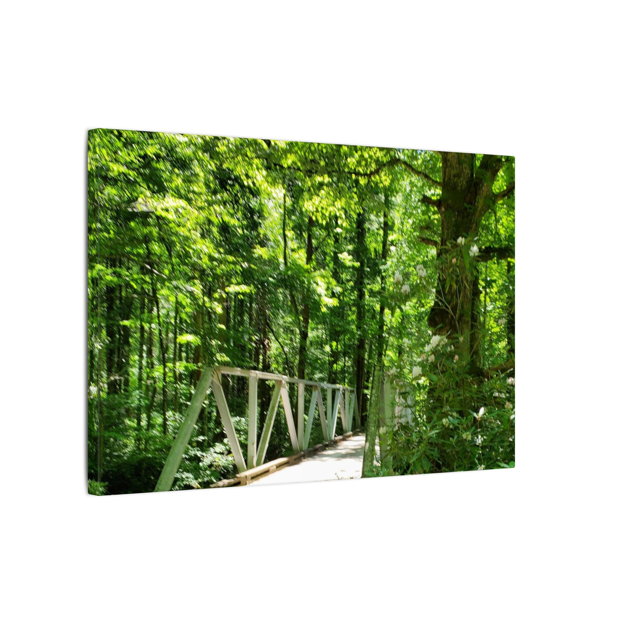 Forest Bridge Canvas Wall Art — Green Woodland Trail Photography