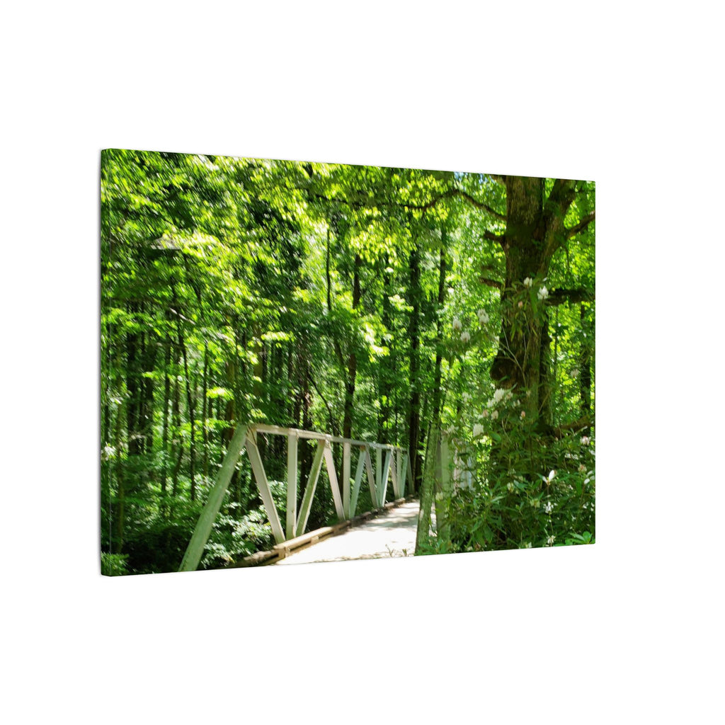 Forest Bridge Canvas Wall Art — Green Woodland Trail Photography