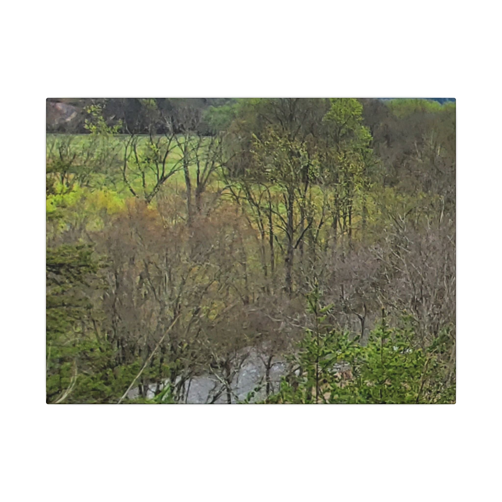 Matte Stretched Canvas Wall Art - Serene Green Woodland Landscape