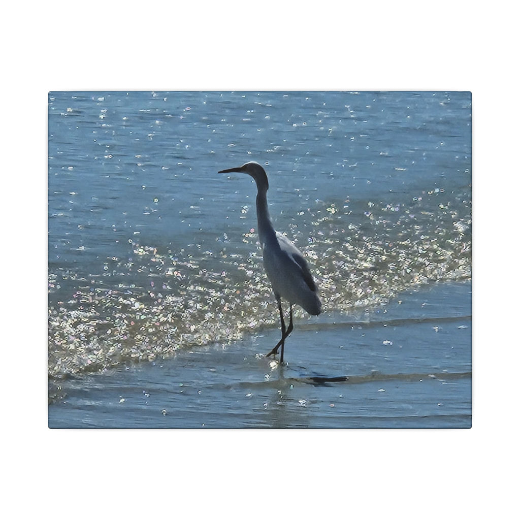 Egret on Shore Matte Stretched Canvas — Coastal Bird Wall Art