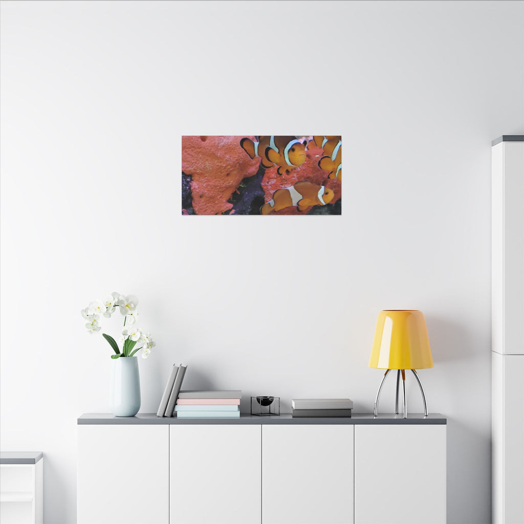 Clownfish Reef Matte Canvas Wall Art — Vibrant Ocean Photography Print