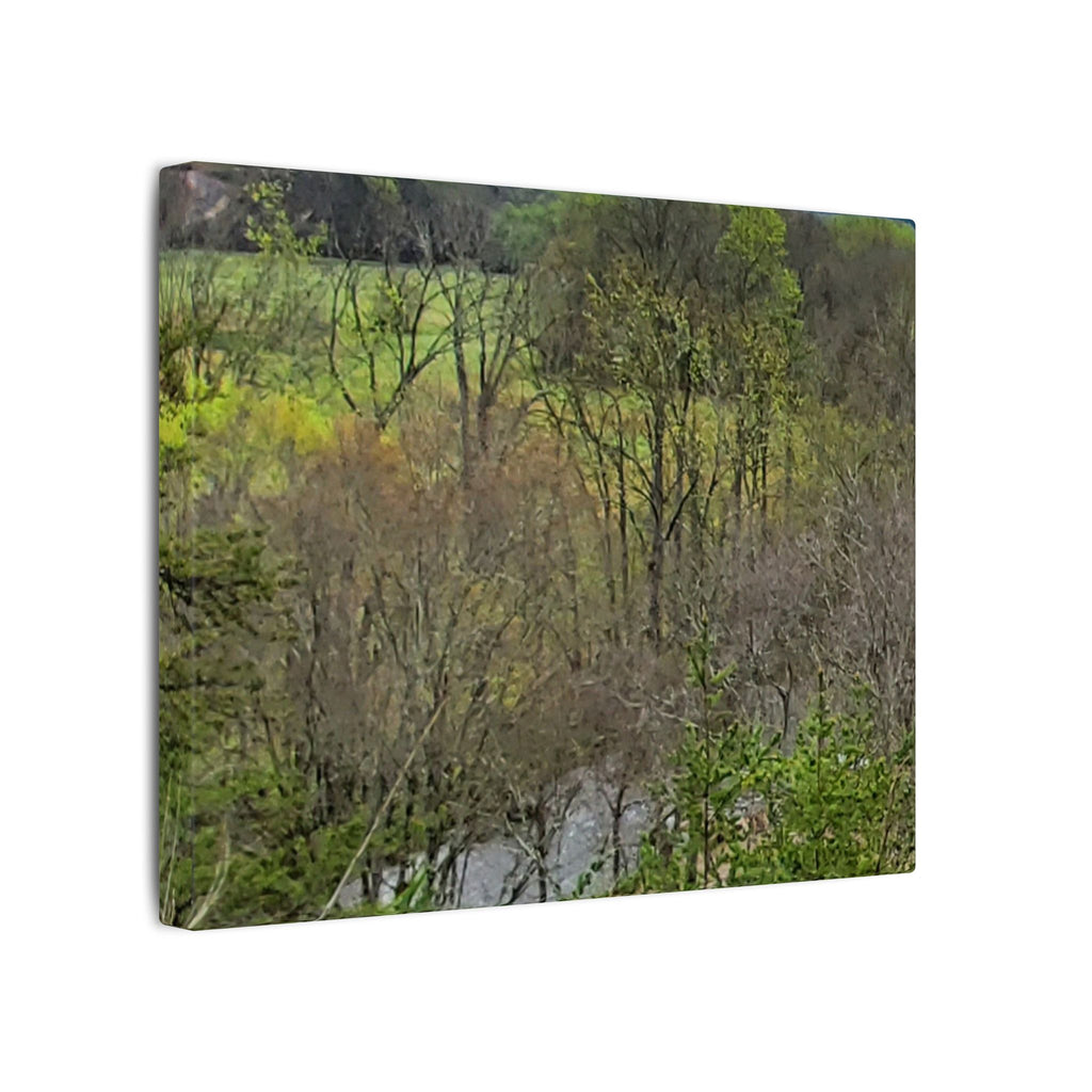 Matte Stretched Canvas Wall Art - Serene Green Woodland Landscape