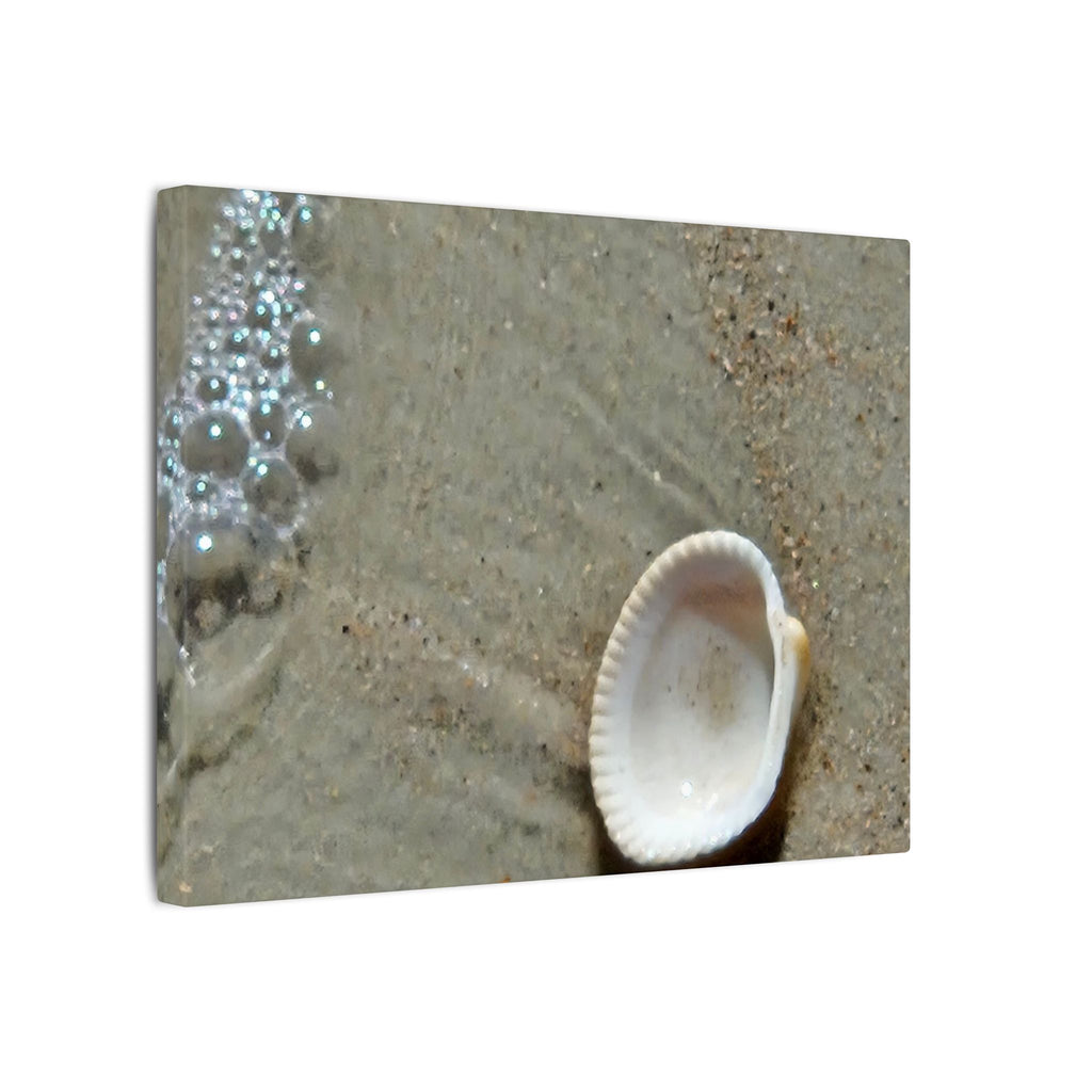 Seashell on Sand Matte Canvas Wall Art — Coastal Beach Photography Print