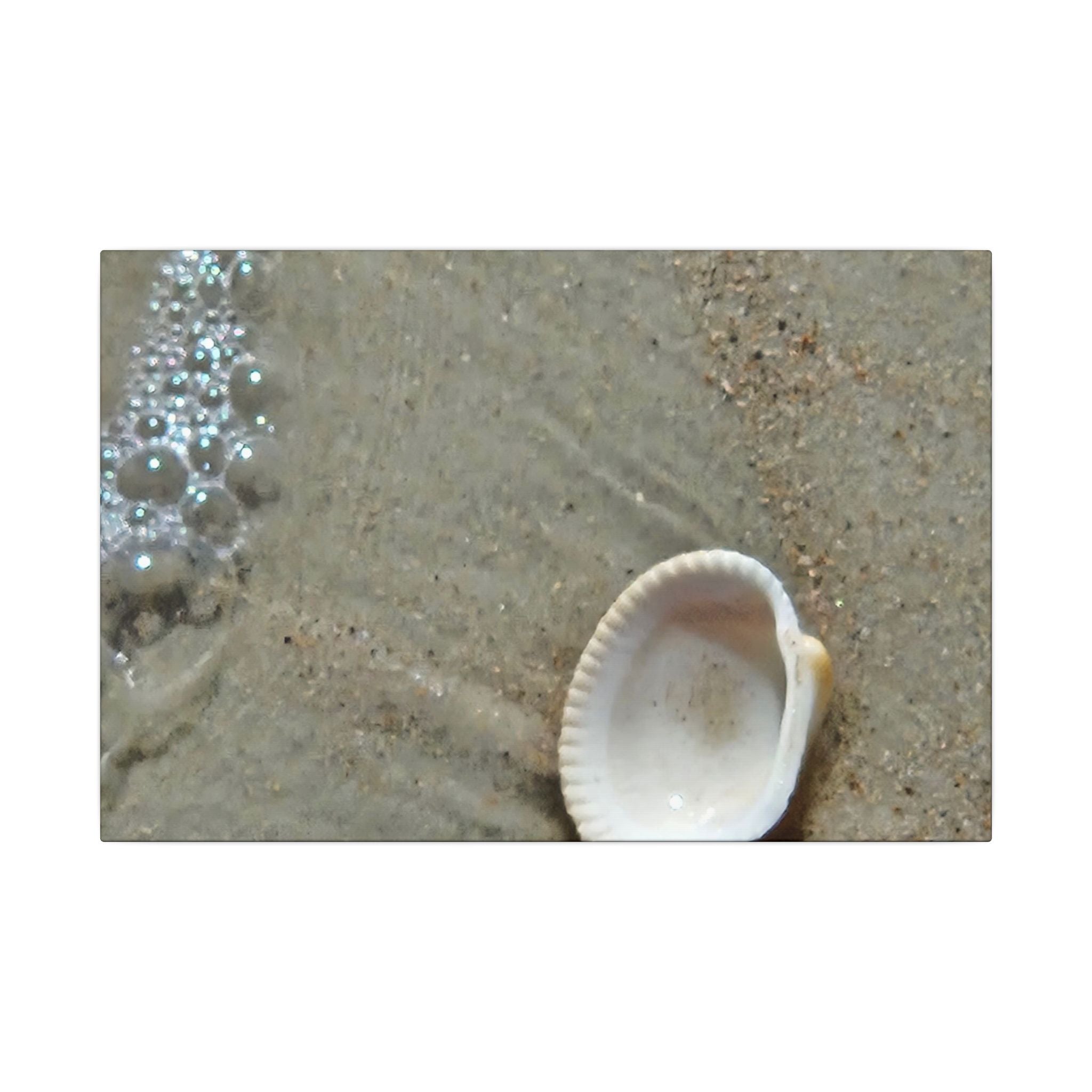 Seashell on Sand Matte Canvas Wall Art — Coastal Beach Photography Print
