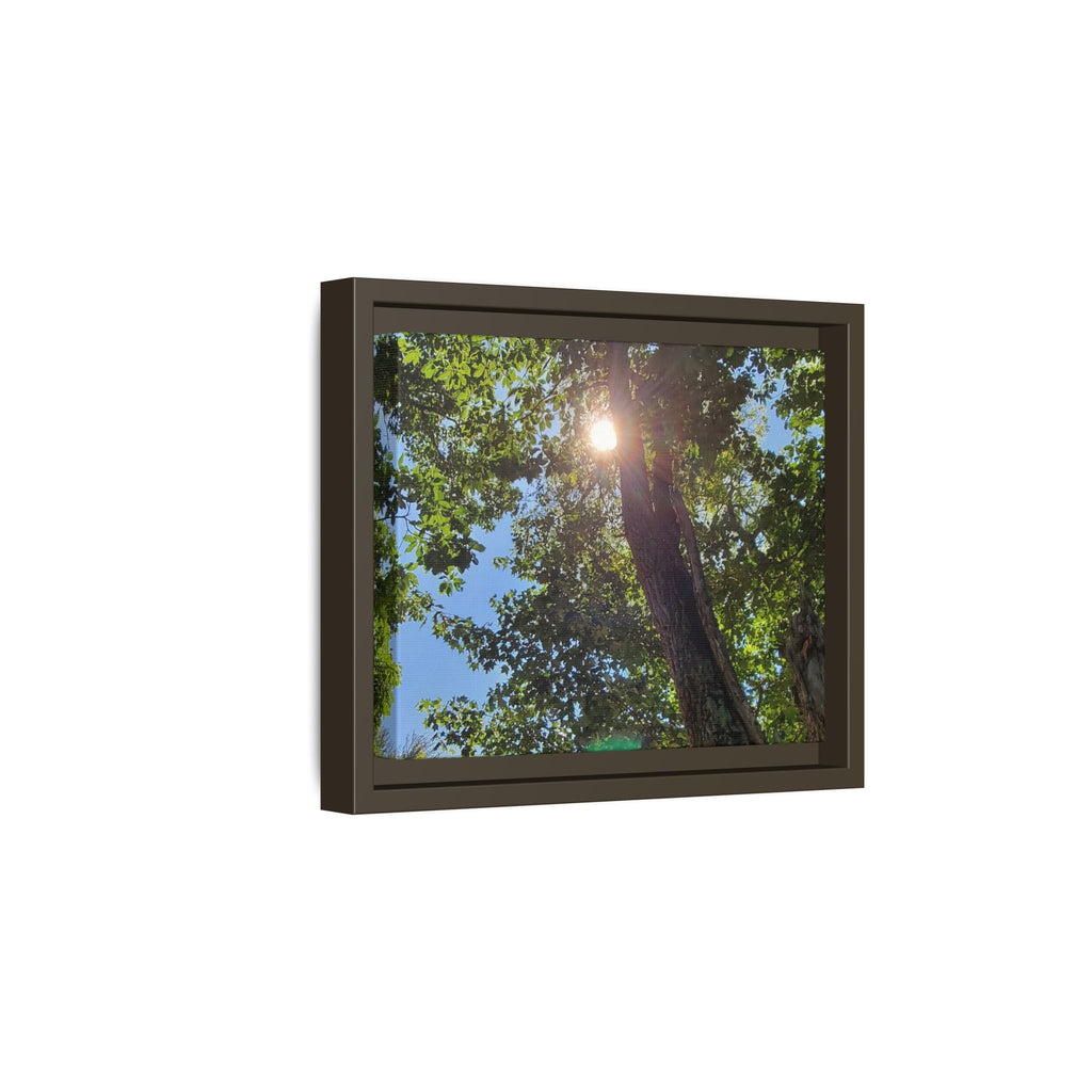 Sunlit Tree Canopy Matte Framed Canvas