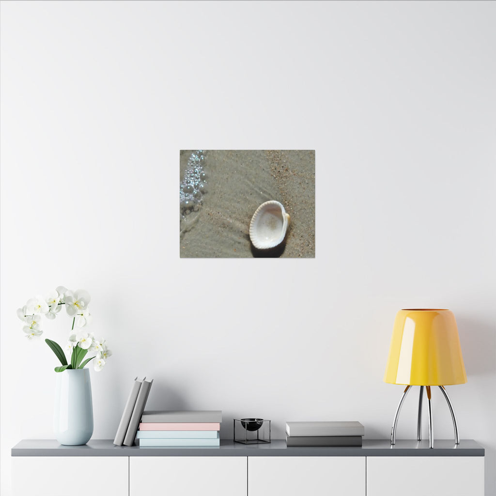 Seashell on Sand Matte Canvas Wall Art — Coastal Beach Photography Print