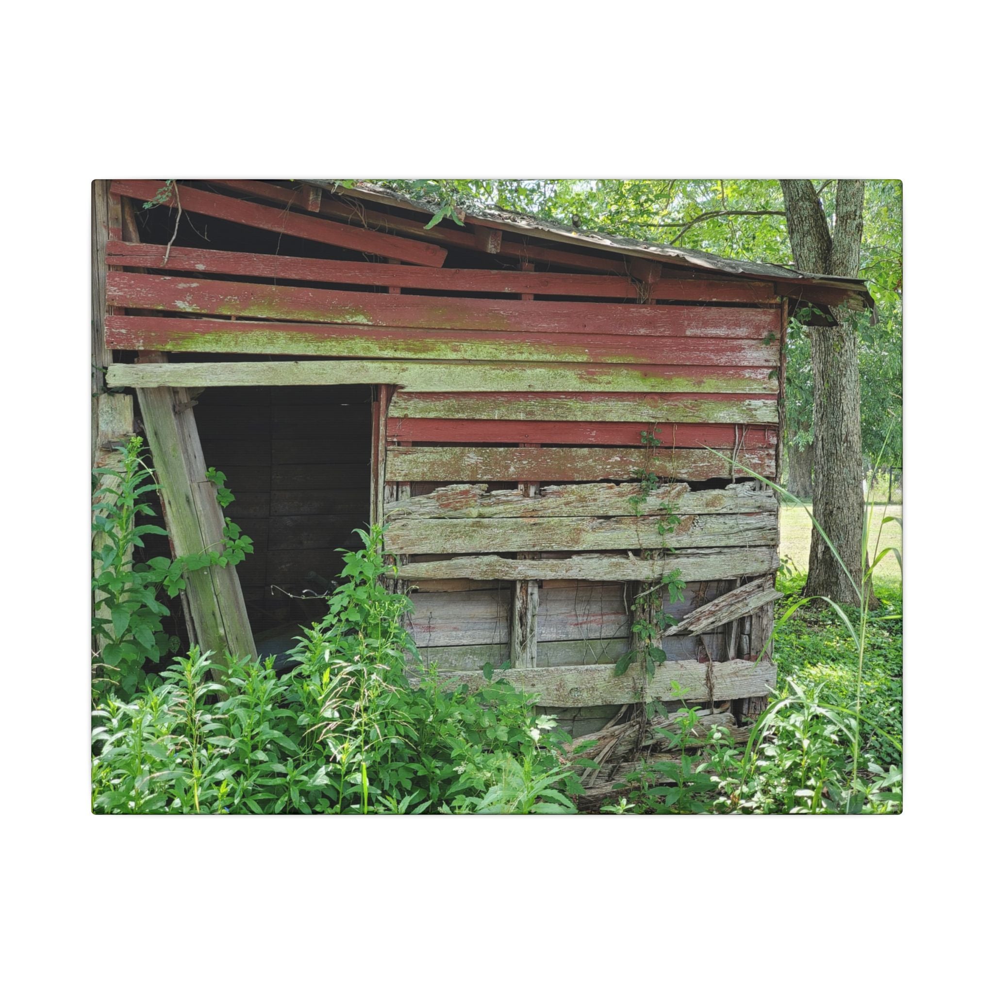 Rustic Red Barn Canvas Wall Art — Vintage Farmhouse Photography Print