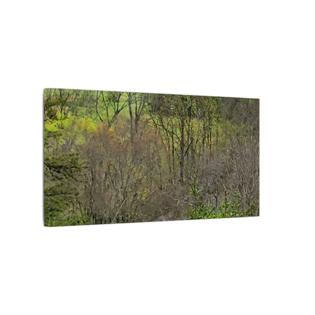 Matte Stretched Canvas Wall Art - Serene Green Woodland Landscape