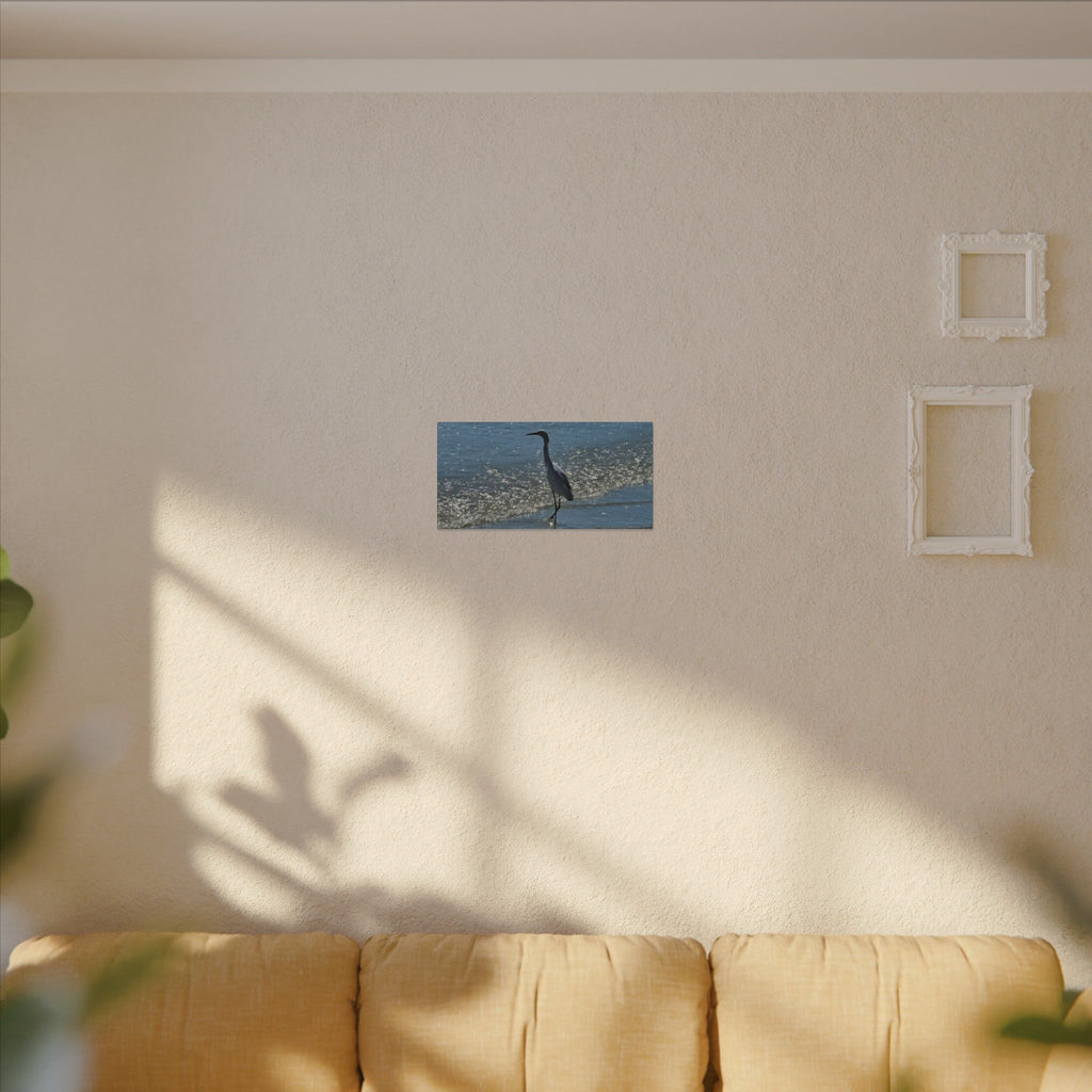 Egret on Shore Matte Stretched Canvas — Coastal Bird Wall Art