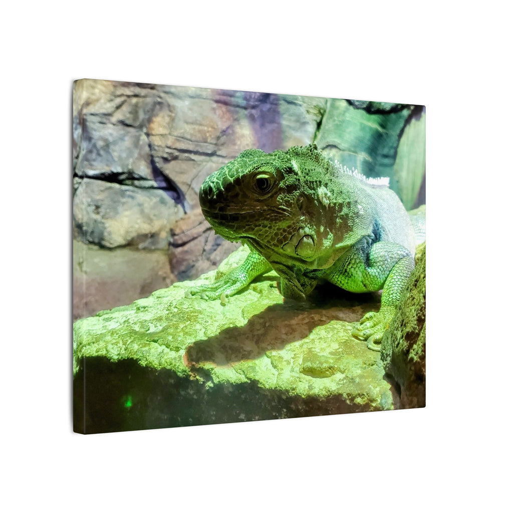 Green Iguana Reptile Wall Art Canvas – Wildlife Photo Matte Stretched Print