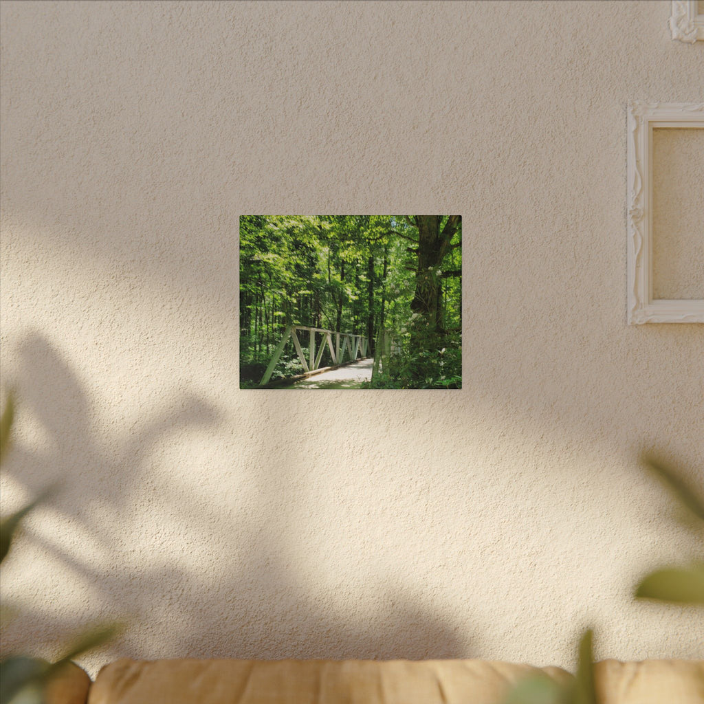 Forest Bridge Canvas Wall Art — Green Woodland Trail Photography