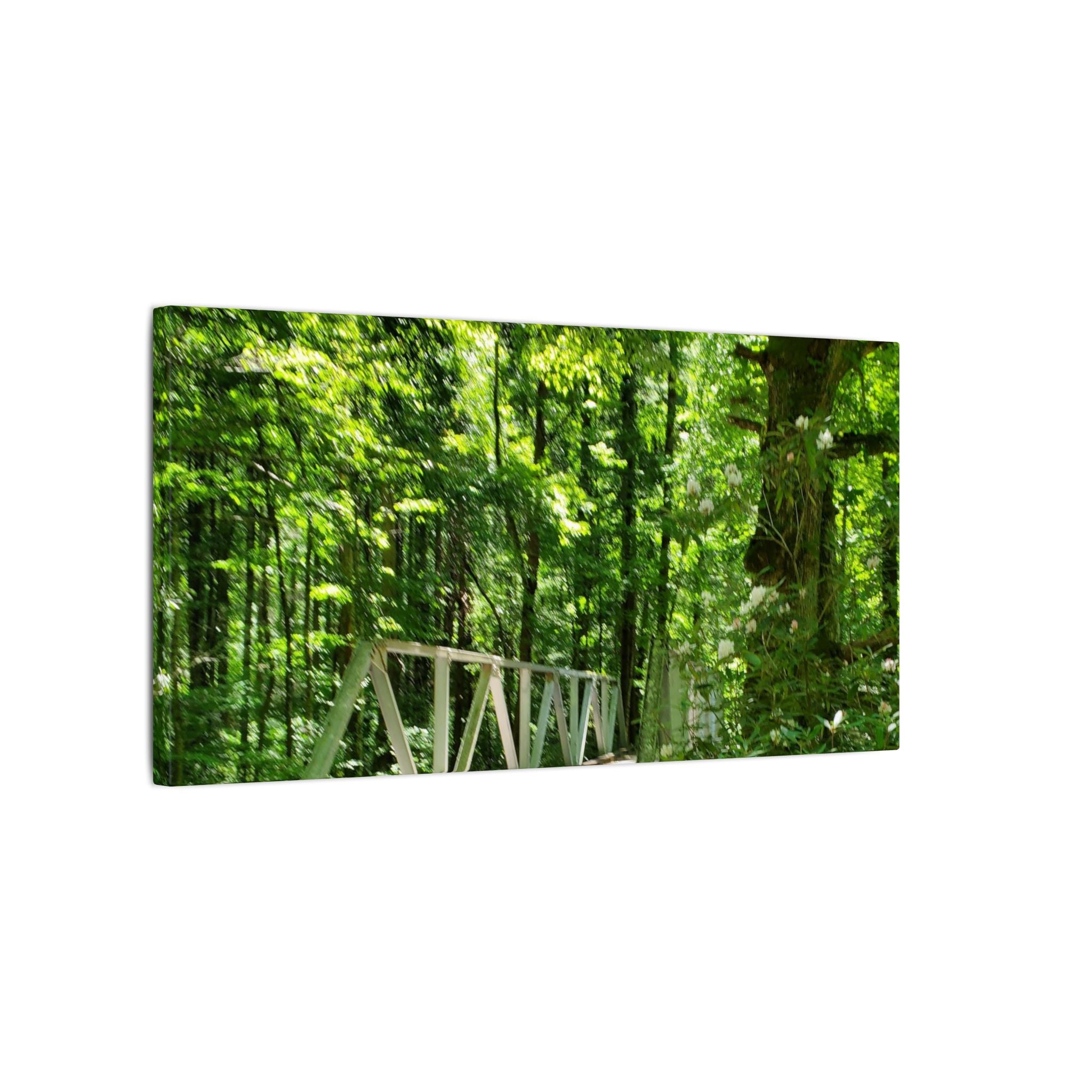 Forest Bridge Canvas Wall Art — Green Woodland Trail Photography