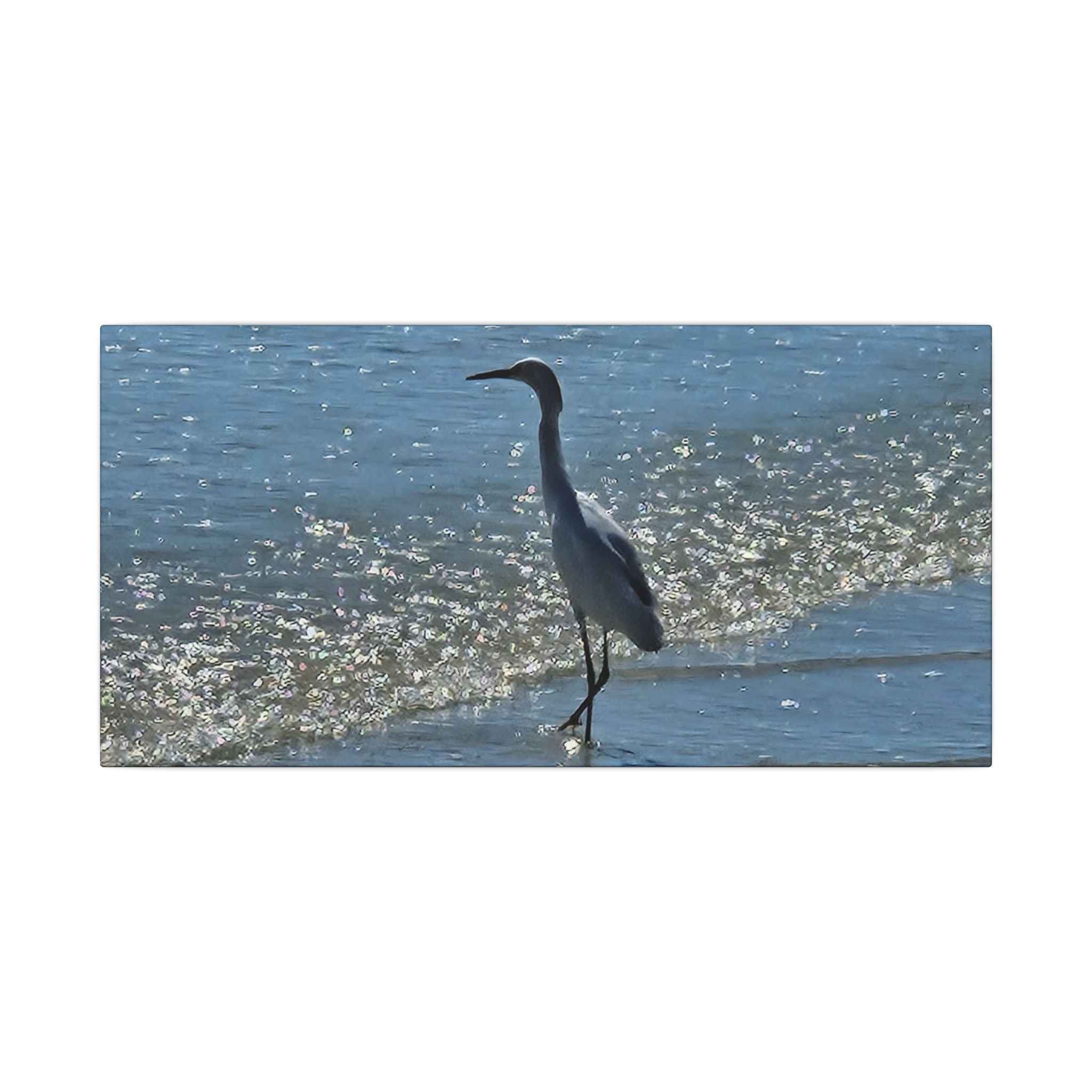 Egret on Shore Matte Stretched Canvas — Coastal Bird Wall Art