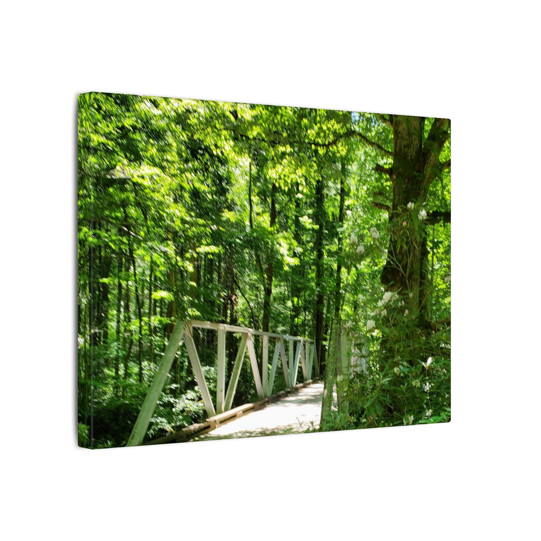 Forest Bridge Canvas Wall Art — Green Woodland Trail Photography