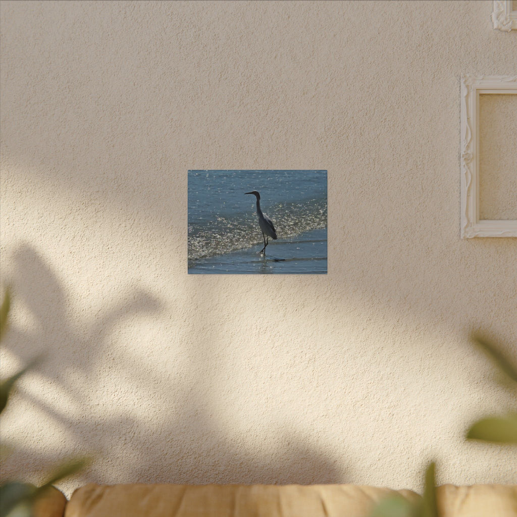 Egret on Shore Matte Stretched Canvas — Coastal Bird Wall Art