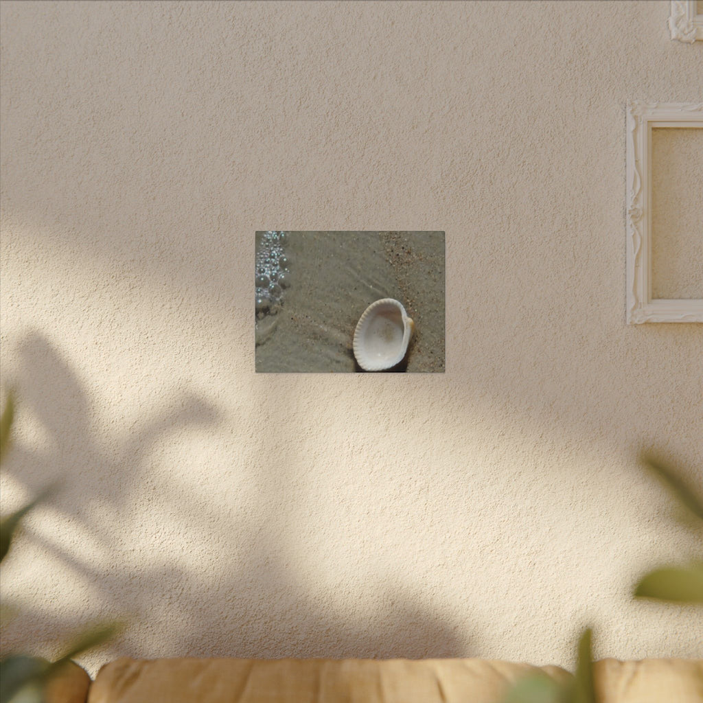 Seashell on Sand Matte Canvas Wall Art — Coastal Beach Photography Print