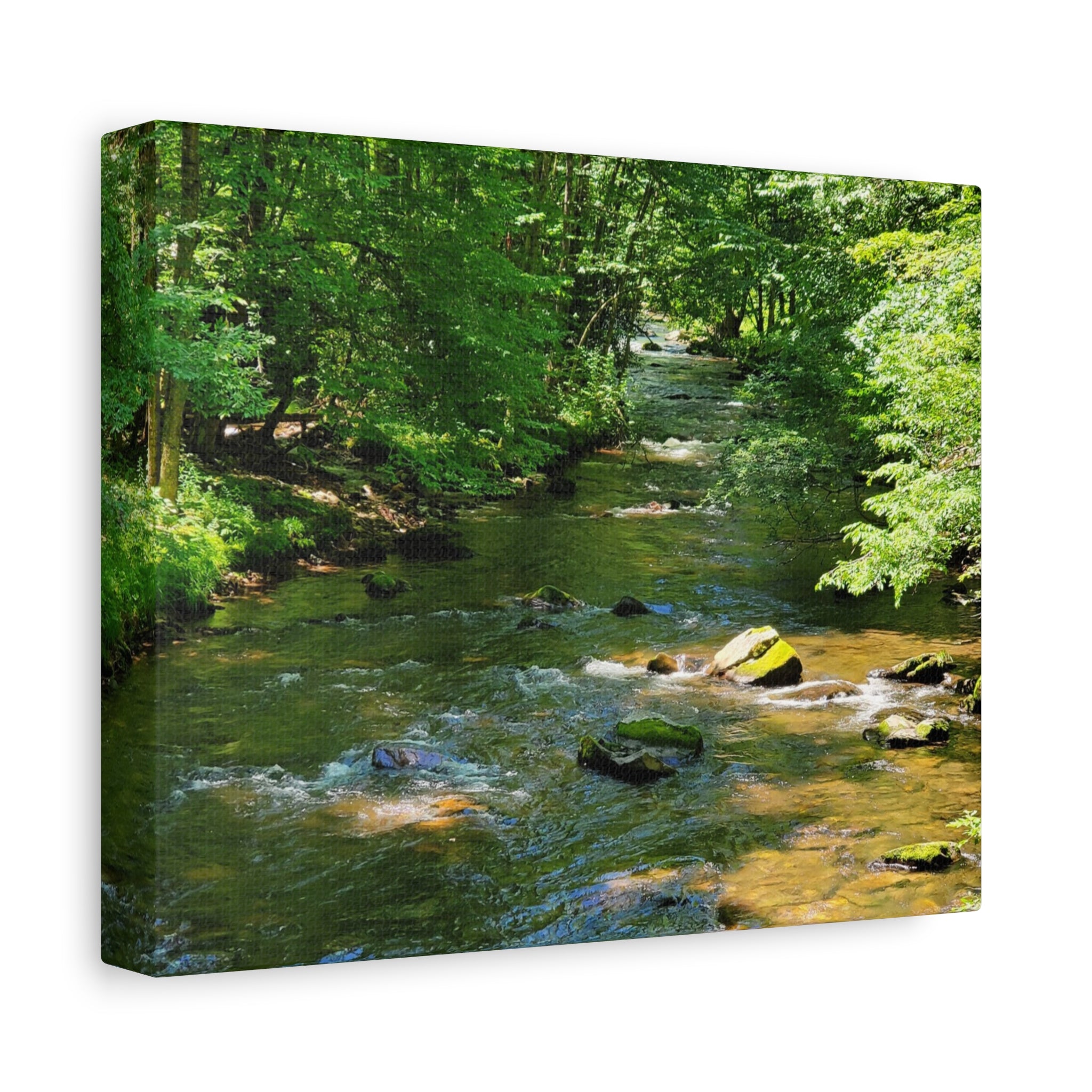 Forest Stream Matte Canvas Wall Art — Stretched 1.25" Nature Print