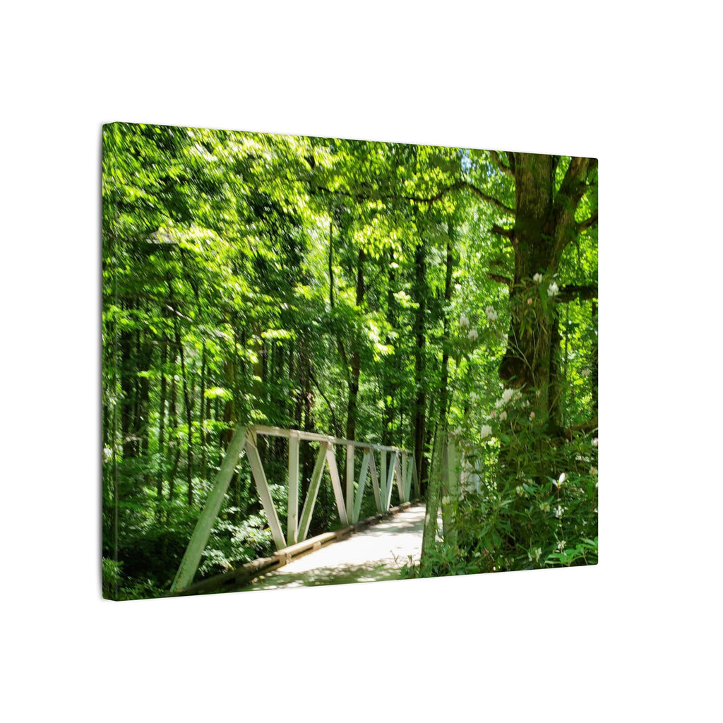 Forest Bridge Canvas Wall Art — Green Woodland Trail Photography