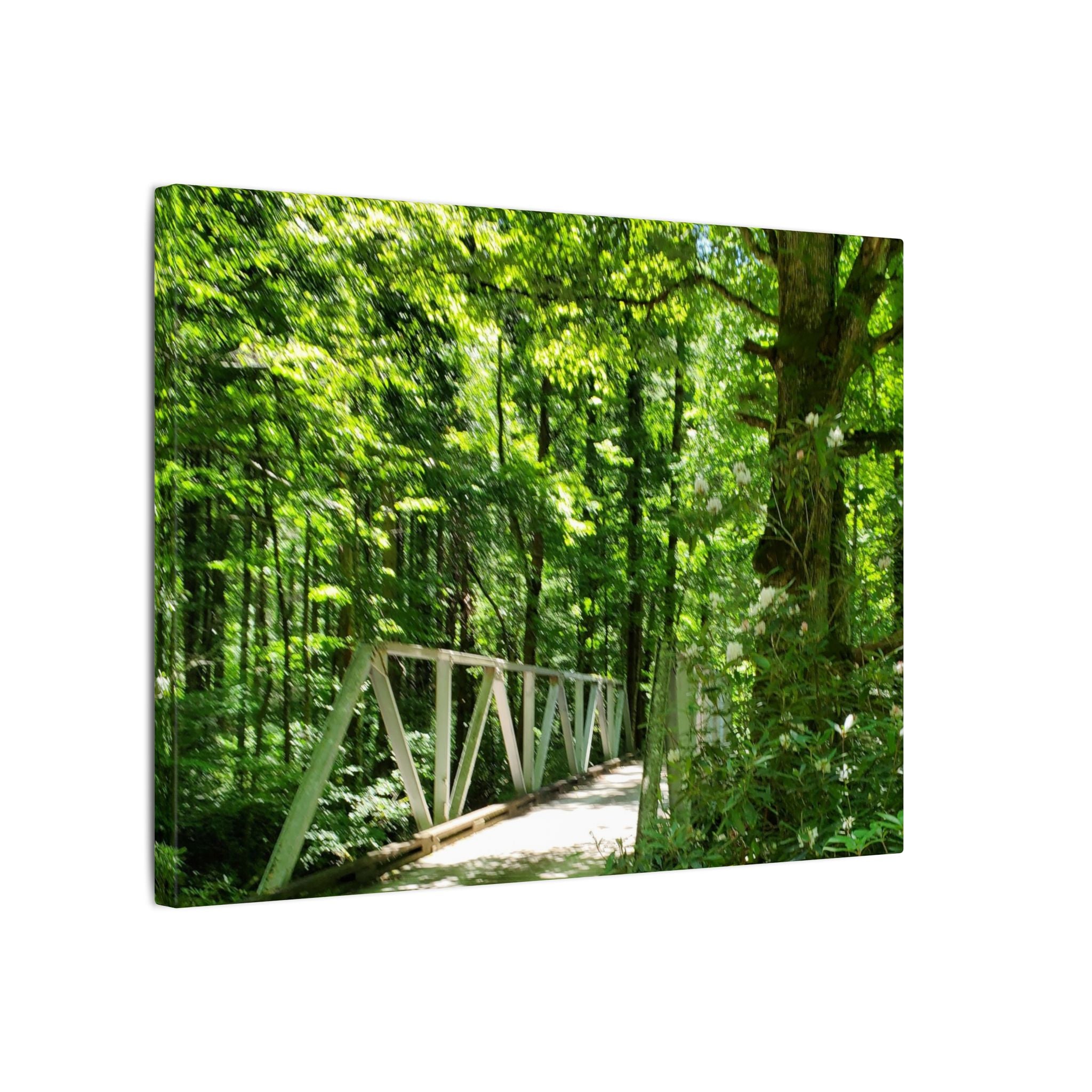 Forest Bridge Canvas Wall Art — Green Woodland Trail Photography